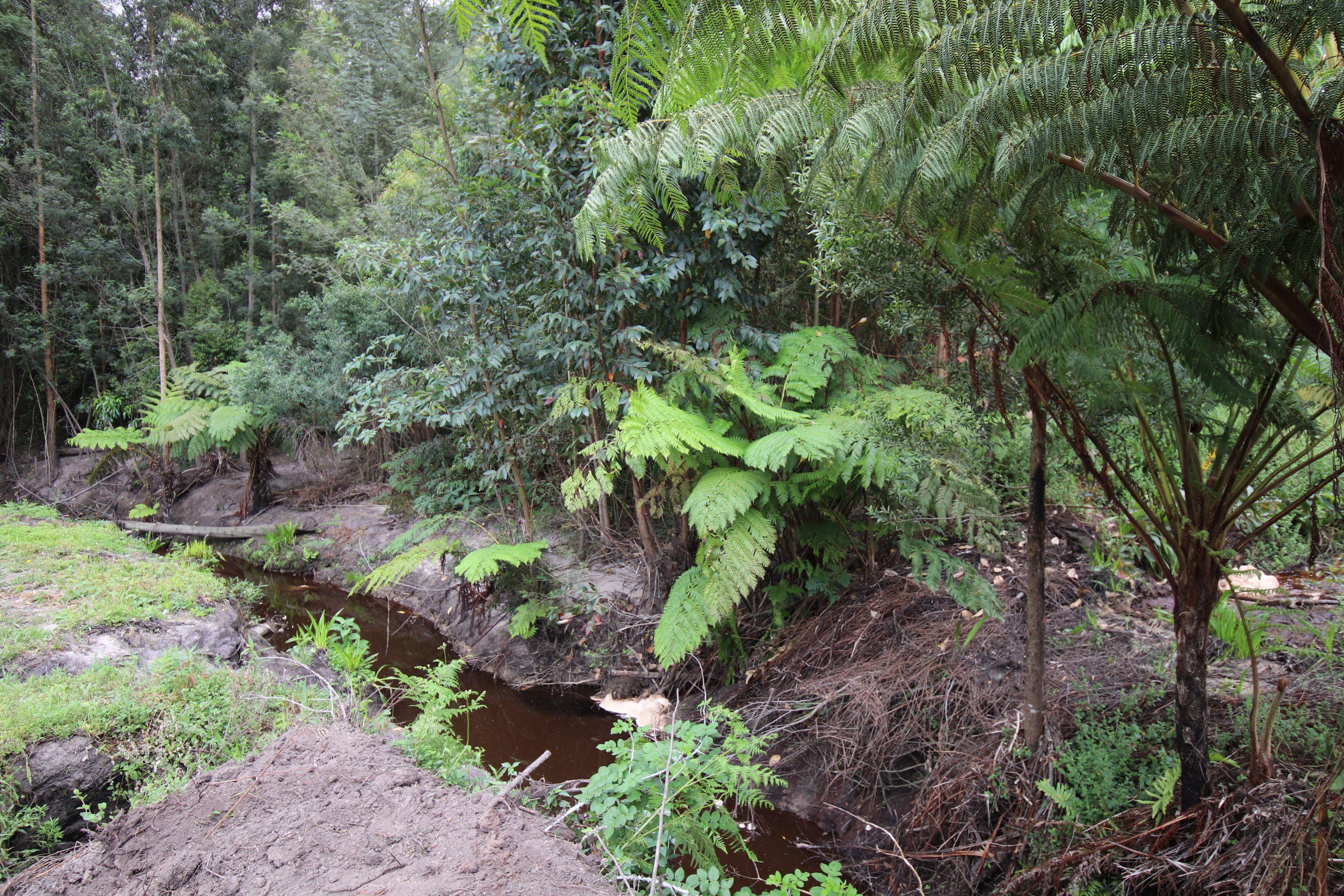 Image 13