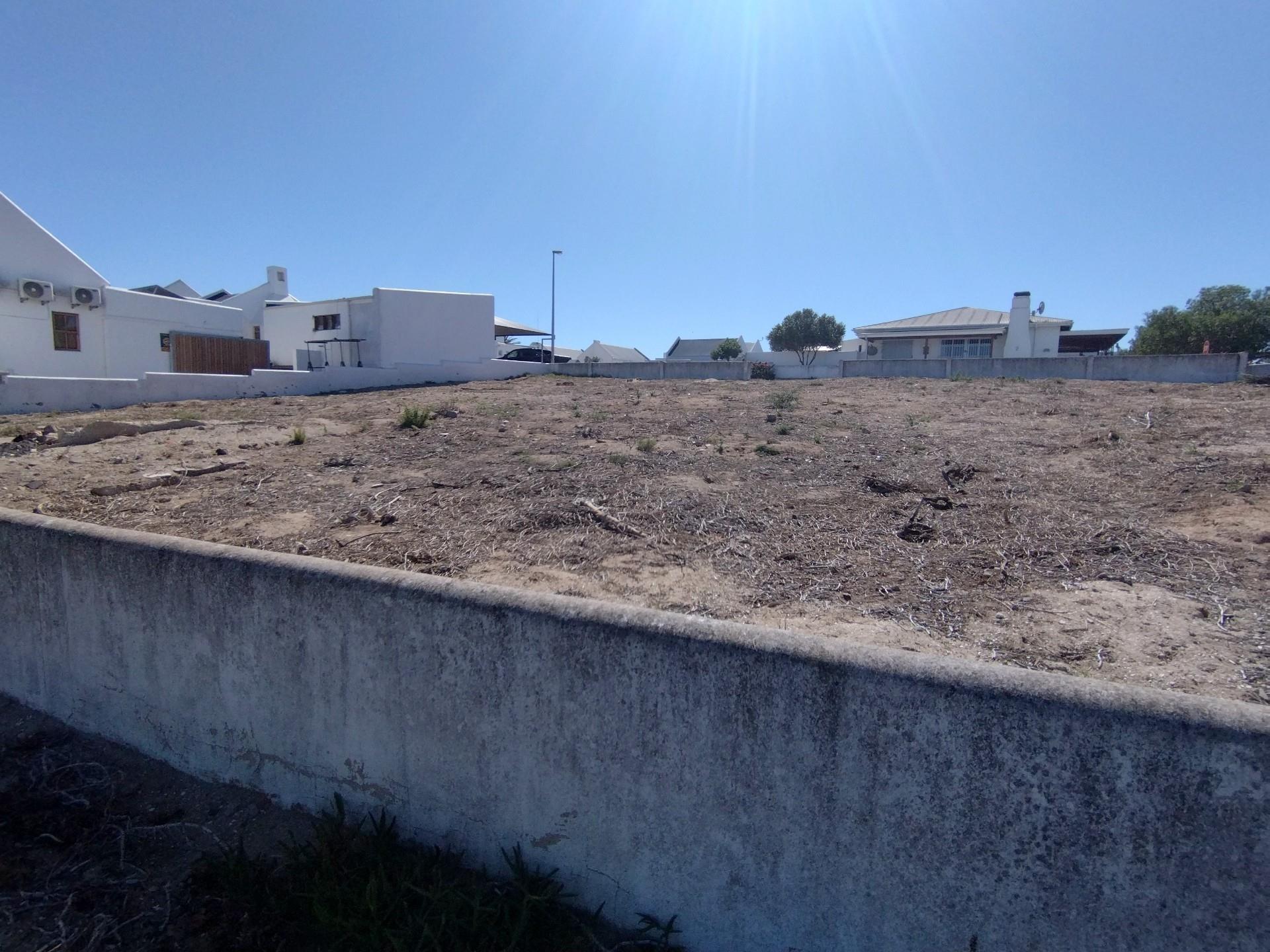 Image 13