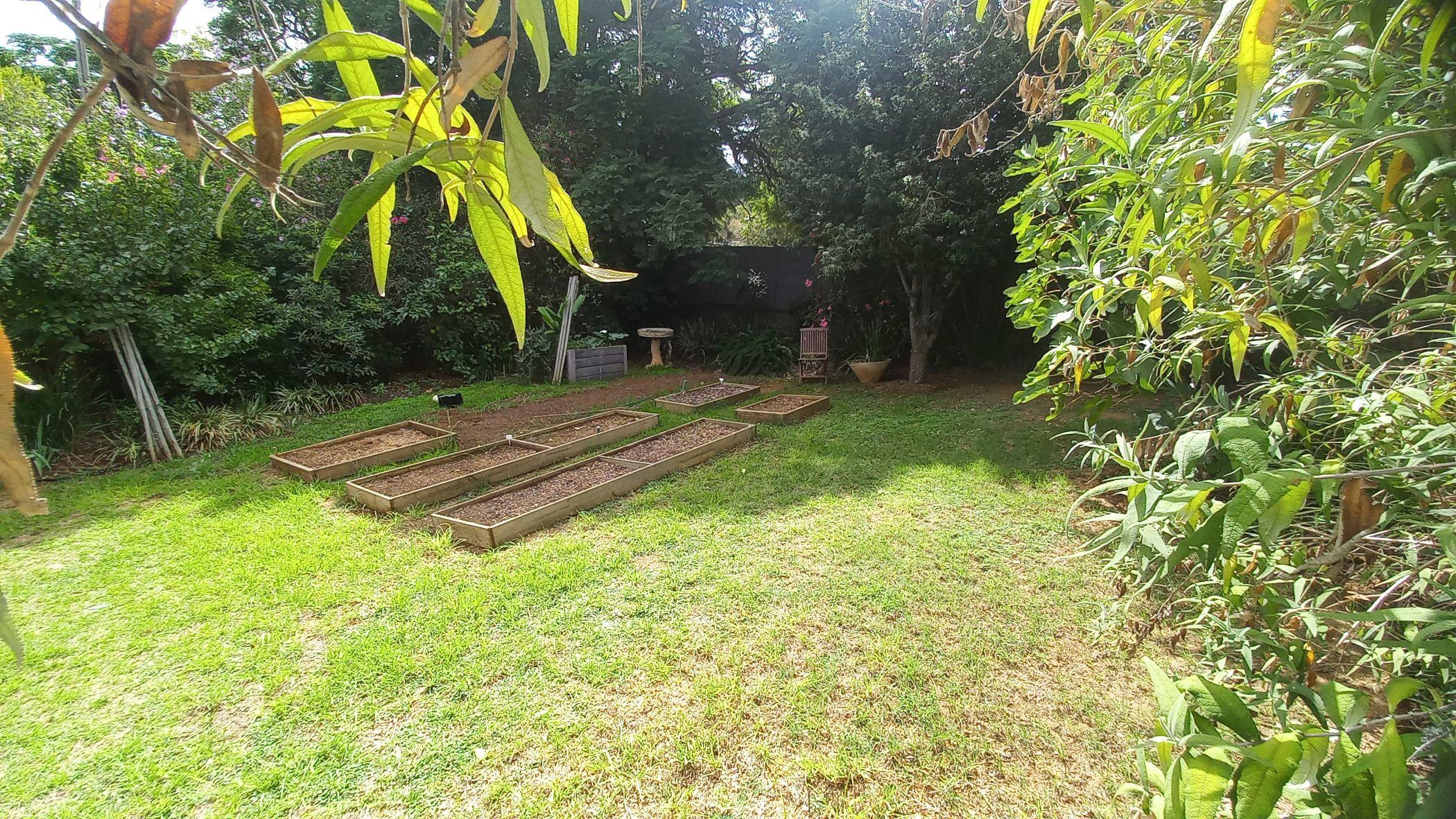 Image 38