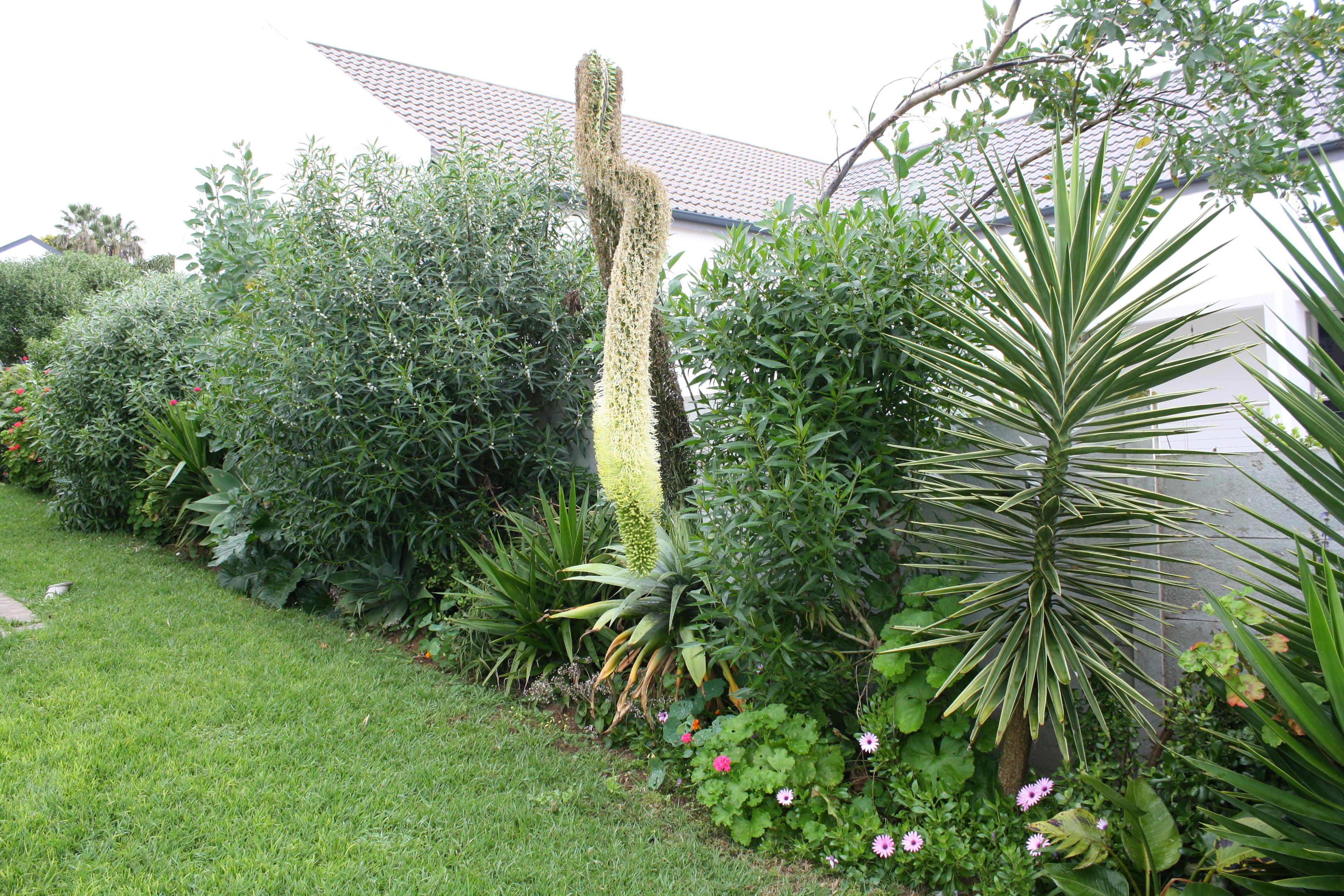 Image 35