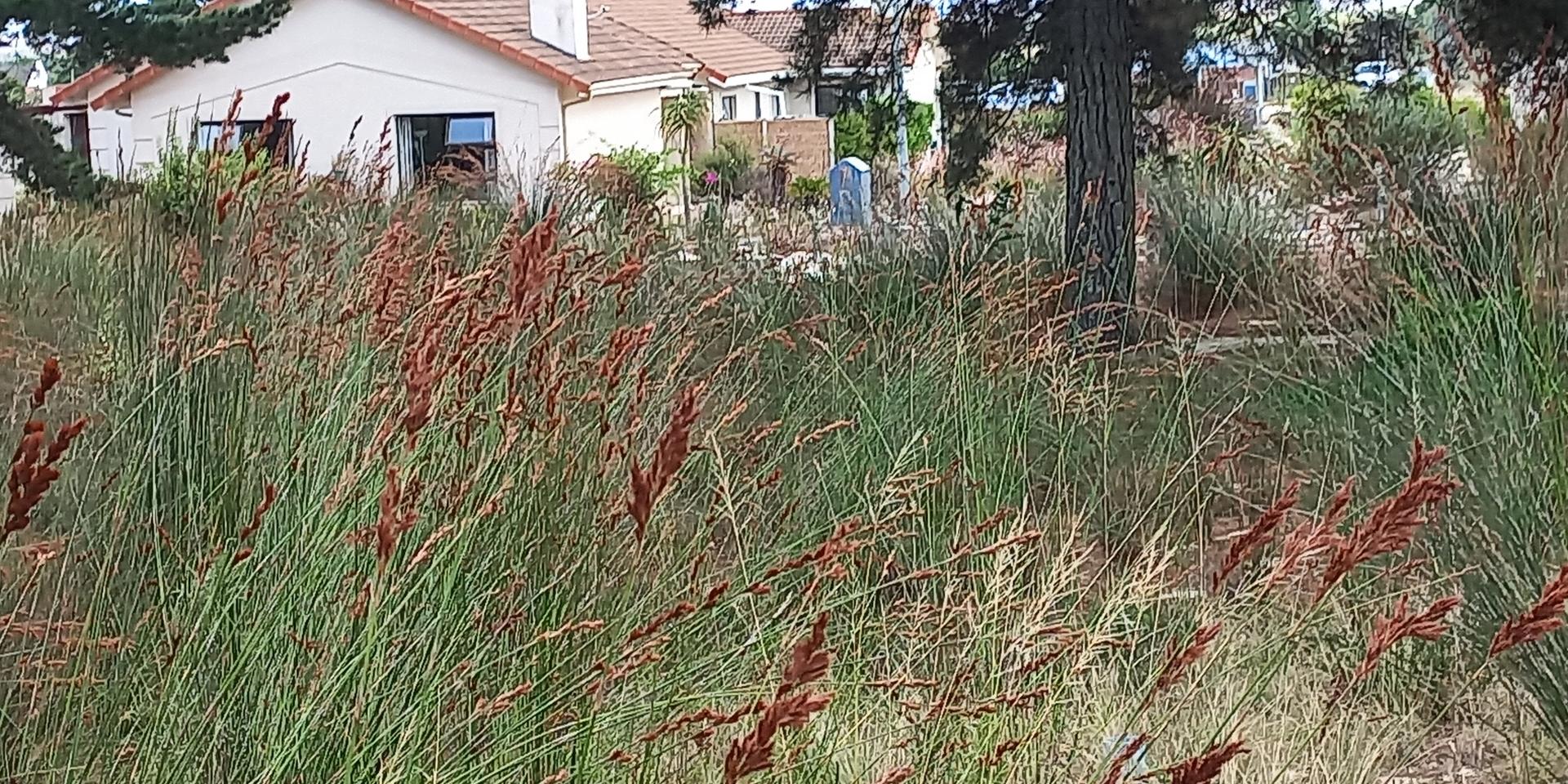 Image 2 of 6