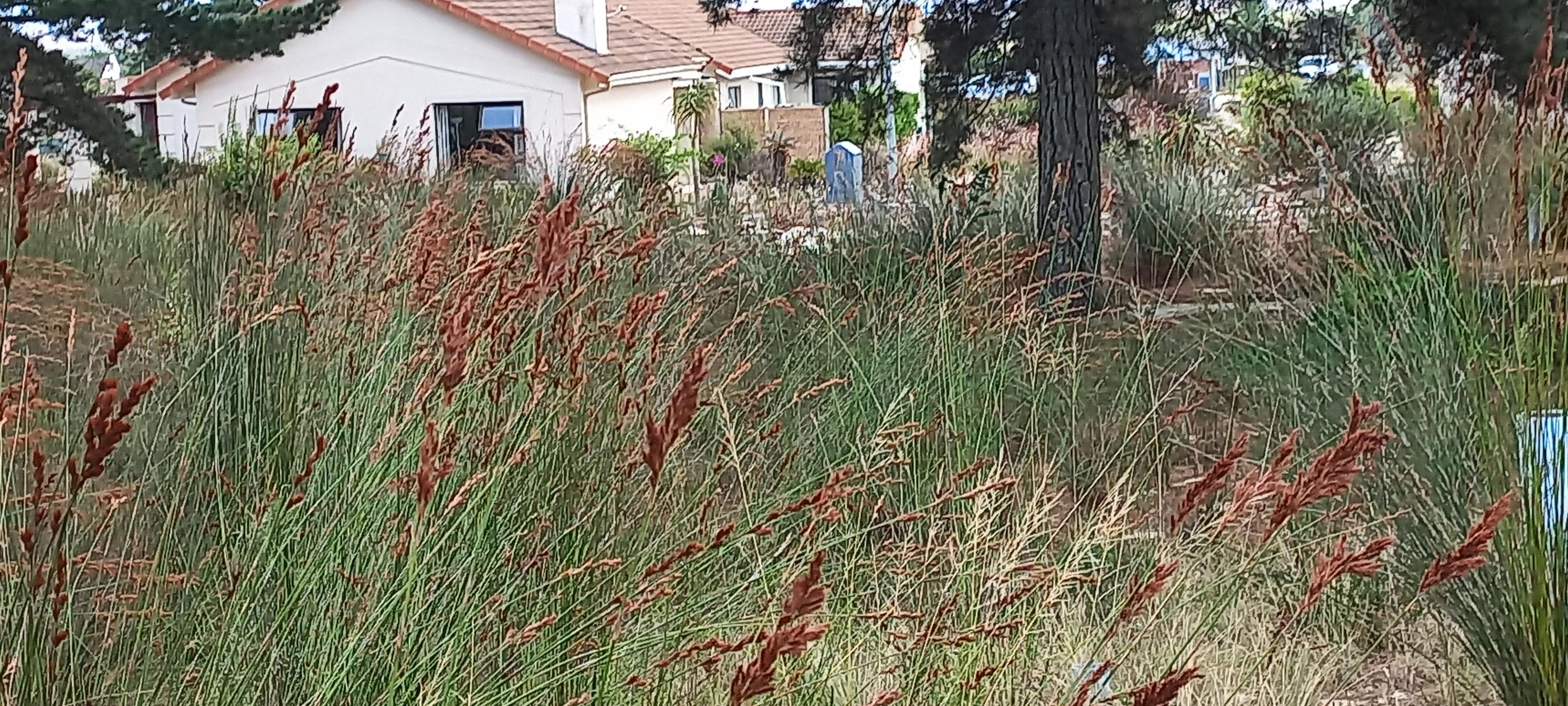 Image 2 of 6