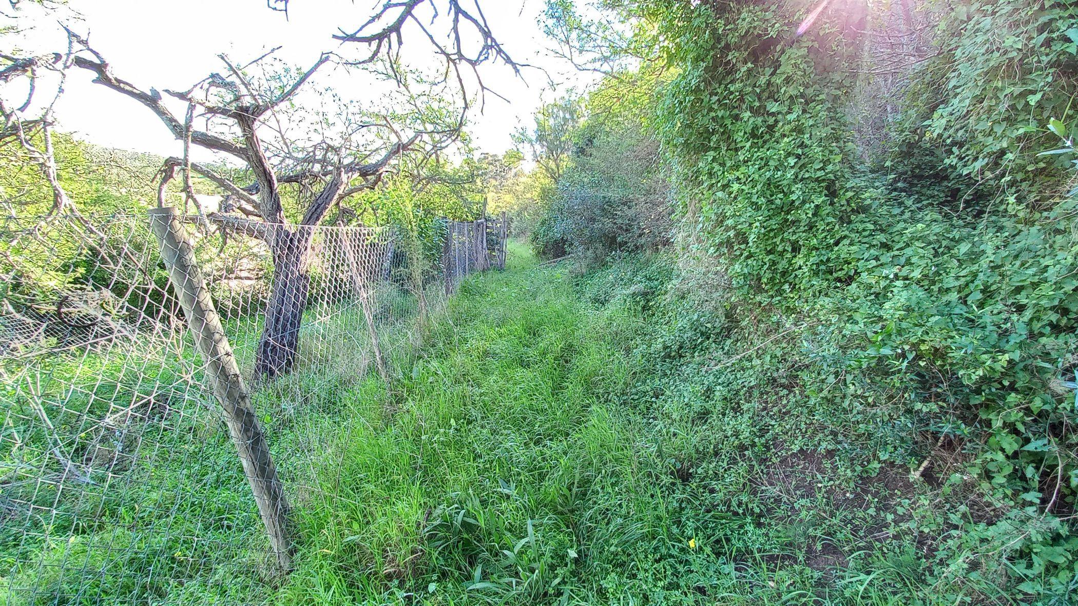 Image 51