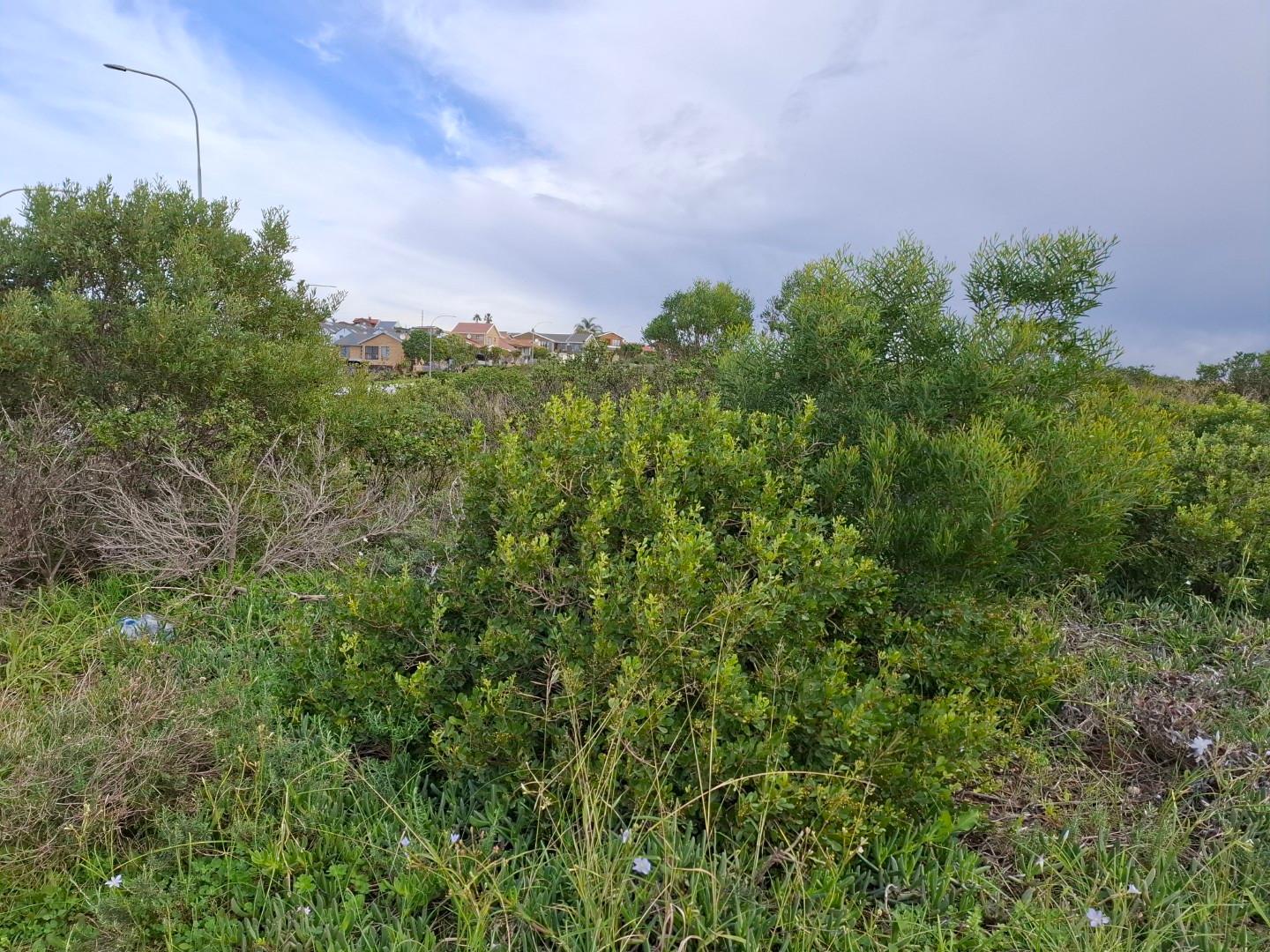 Image 4 of 6