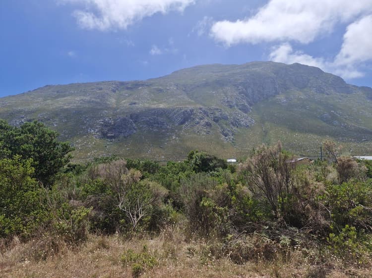Main property image