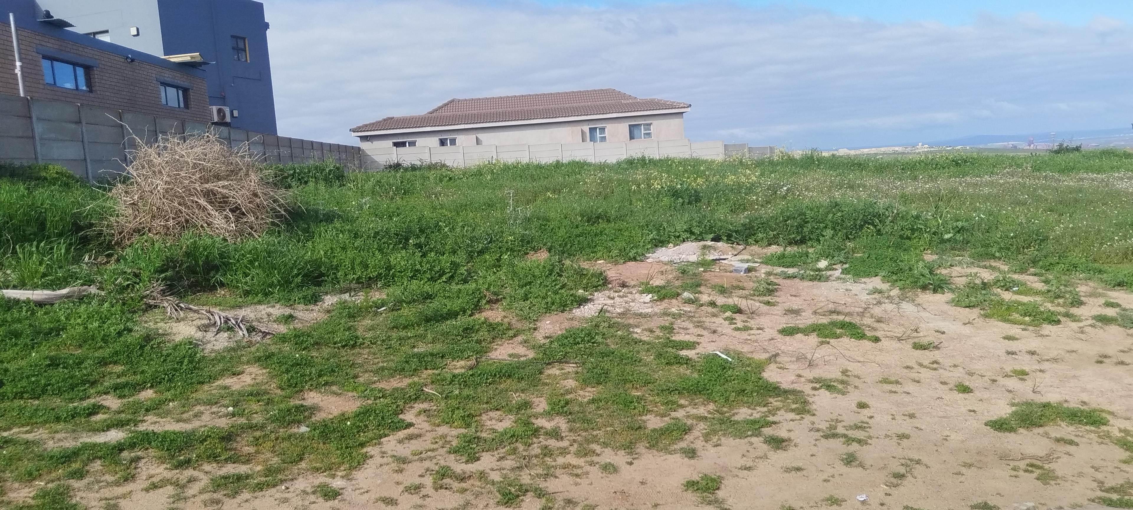Image 4 of 6