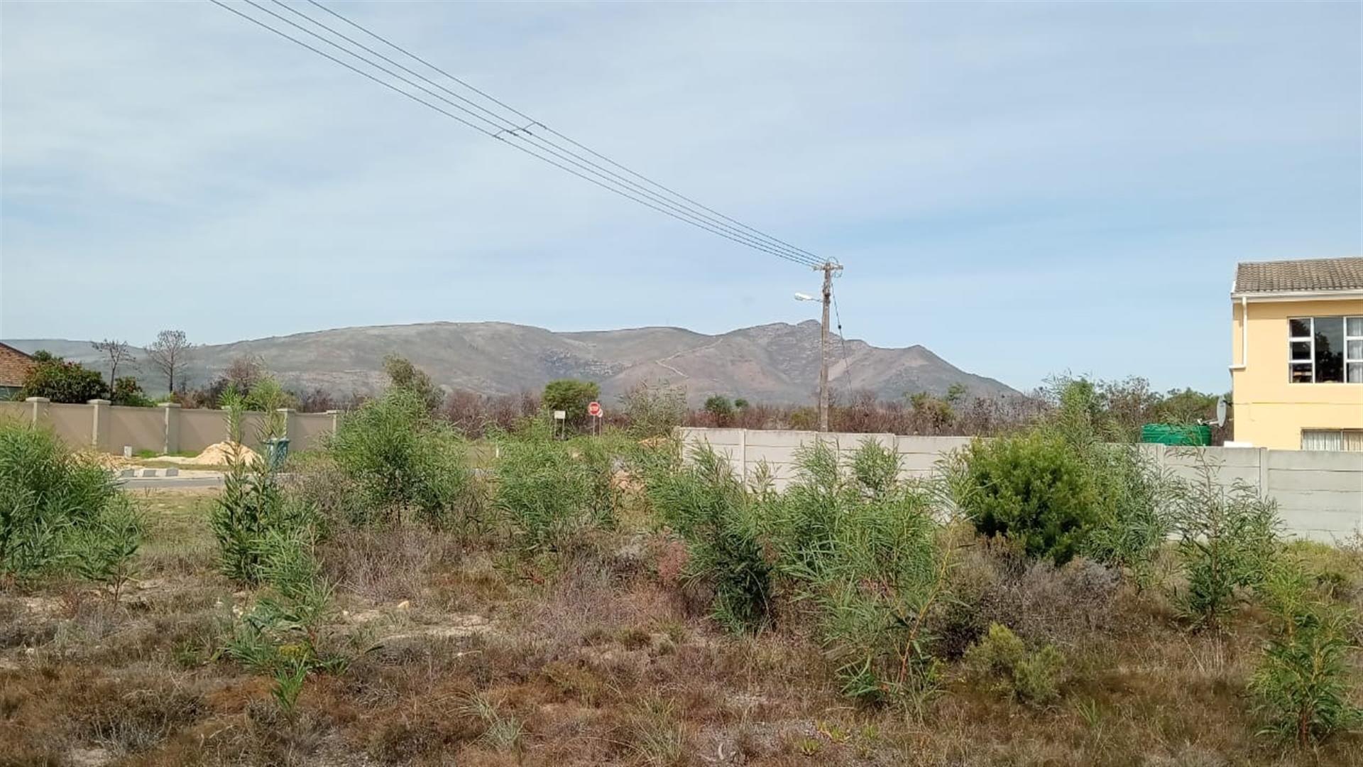 Image 13