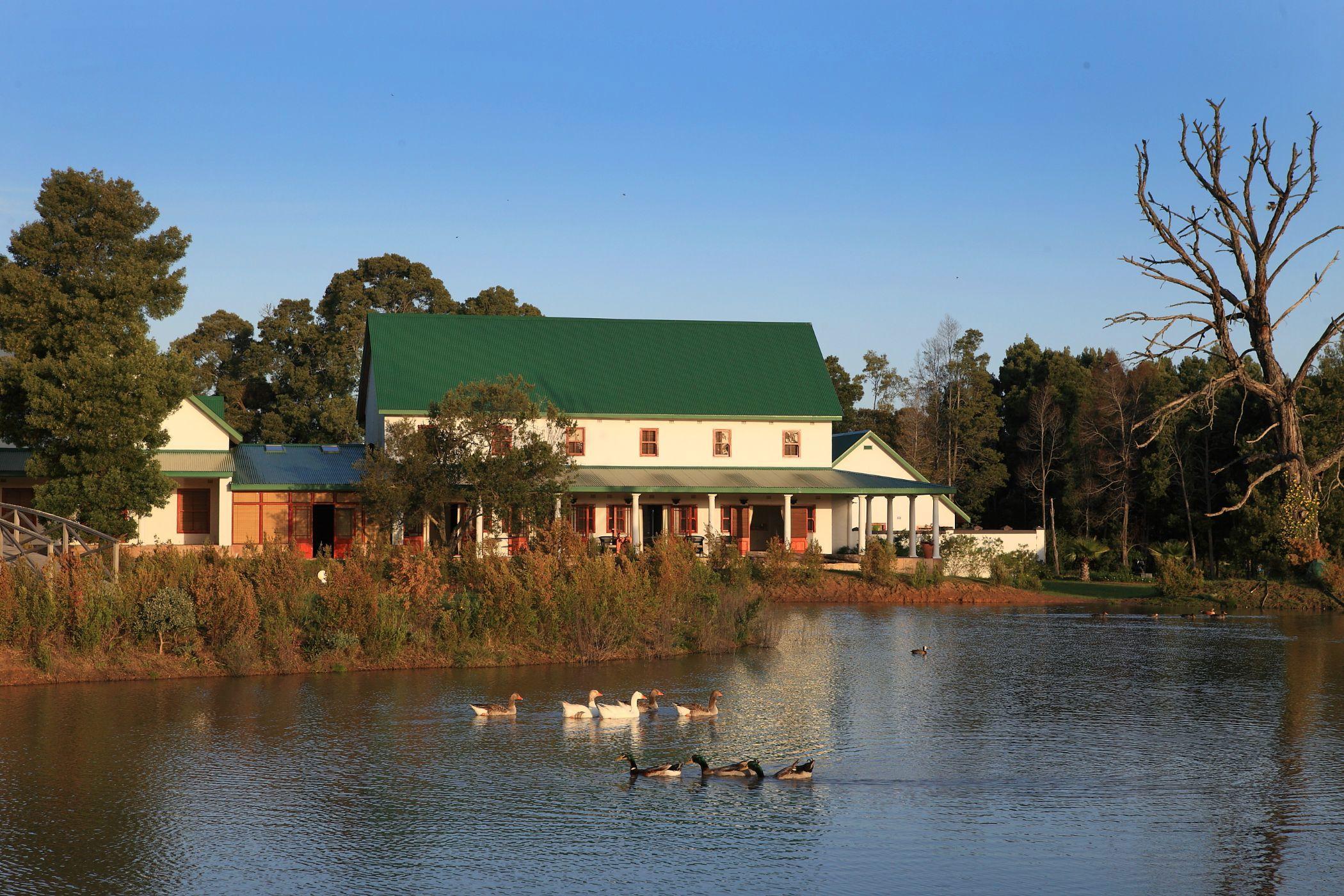 Image 49