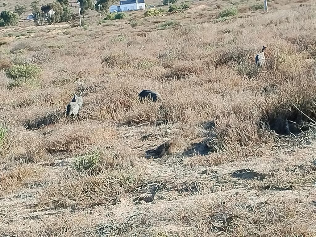 Image 3 of 6