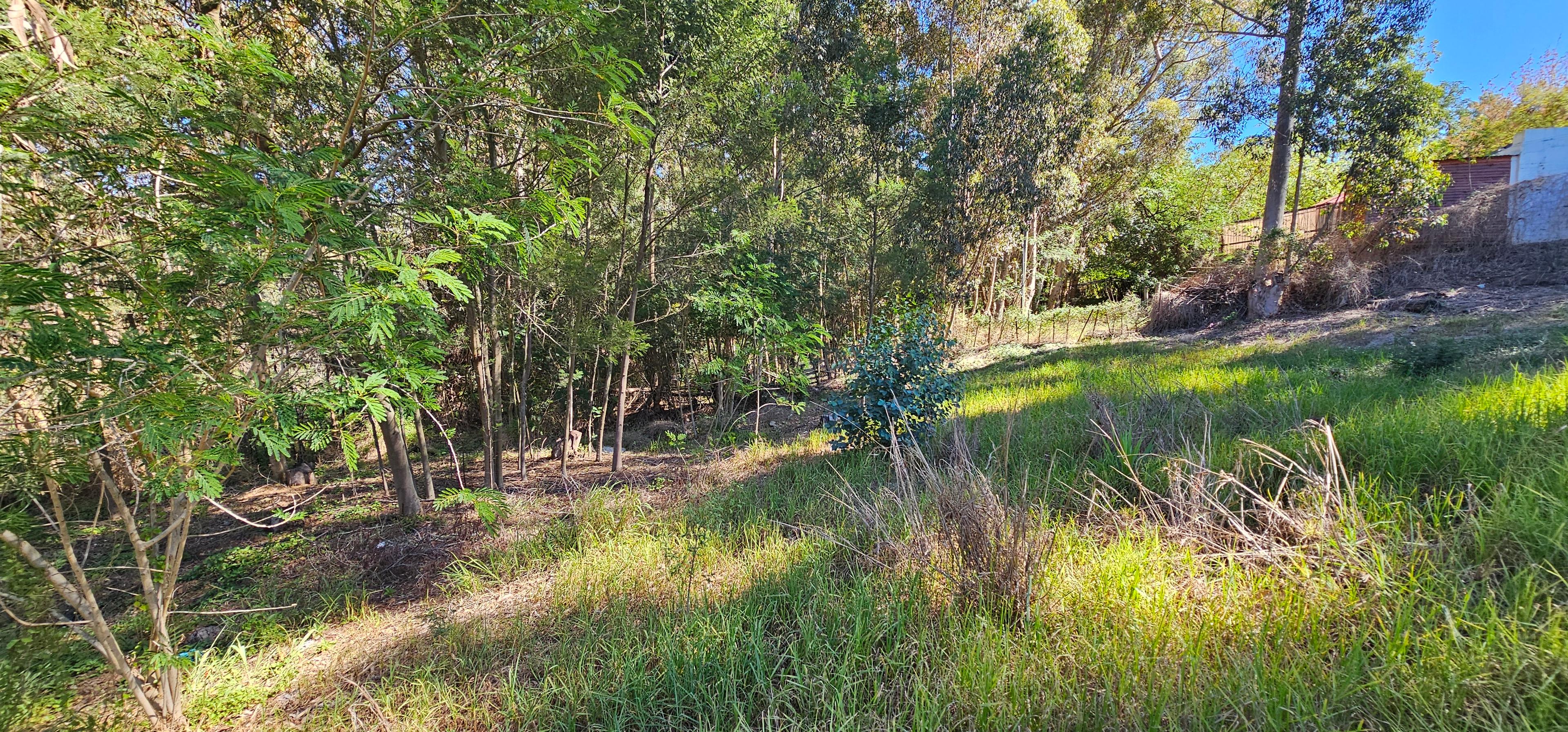 Image 7