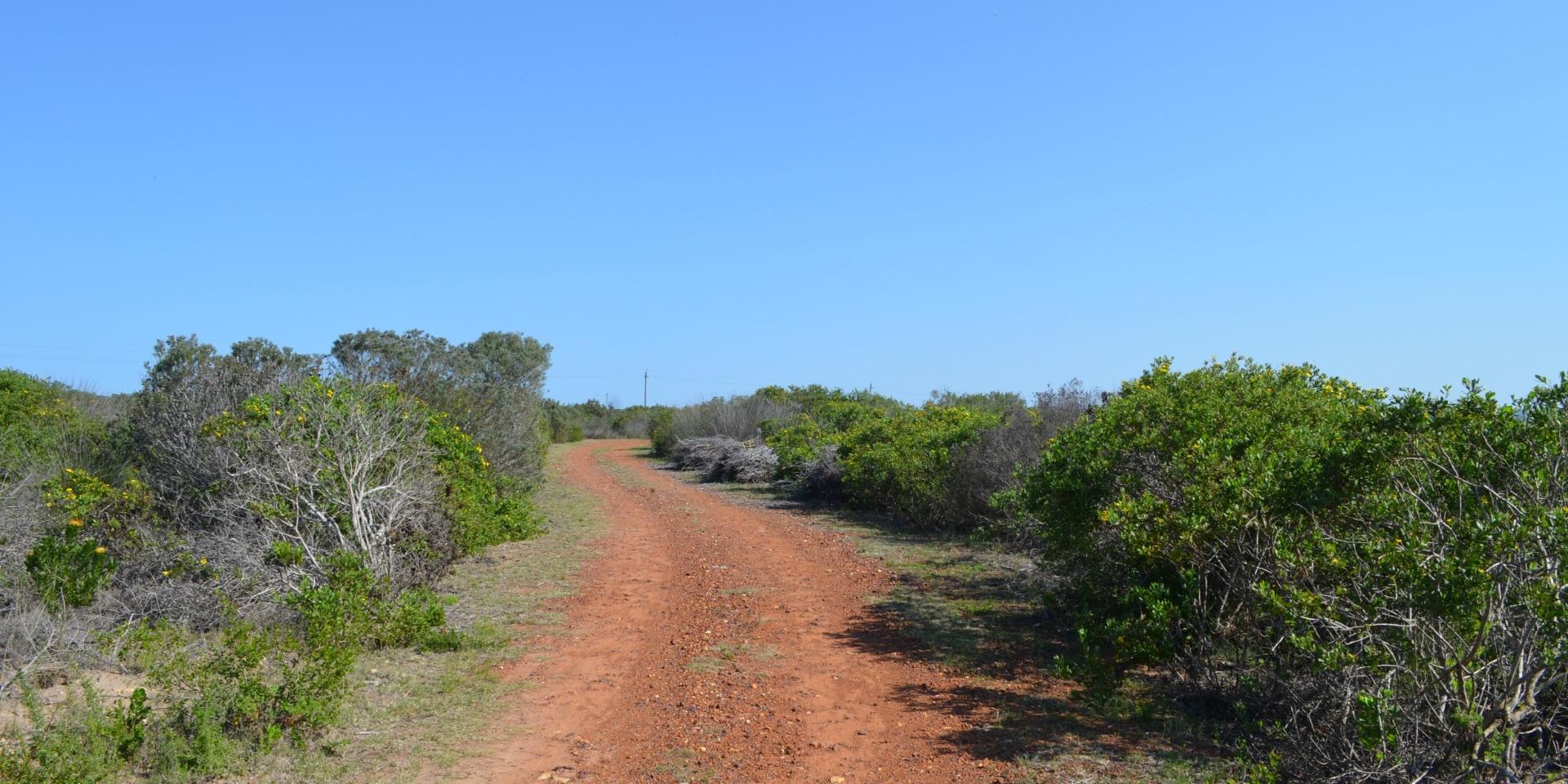 Image 2 of 6