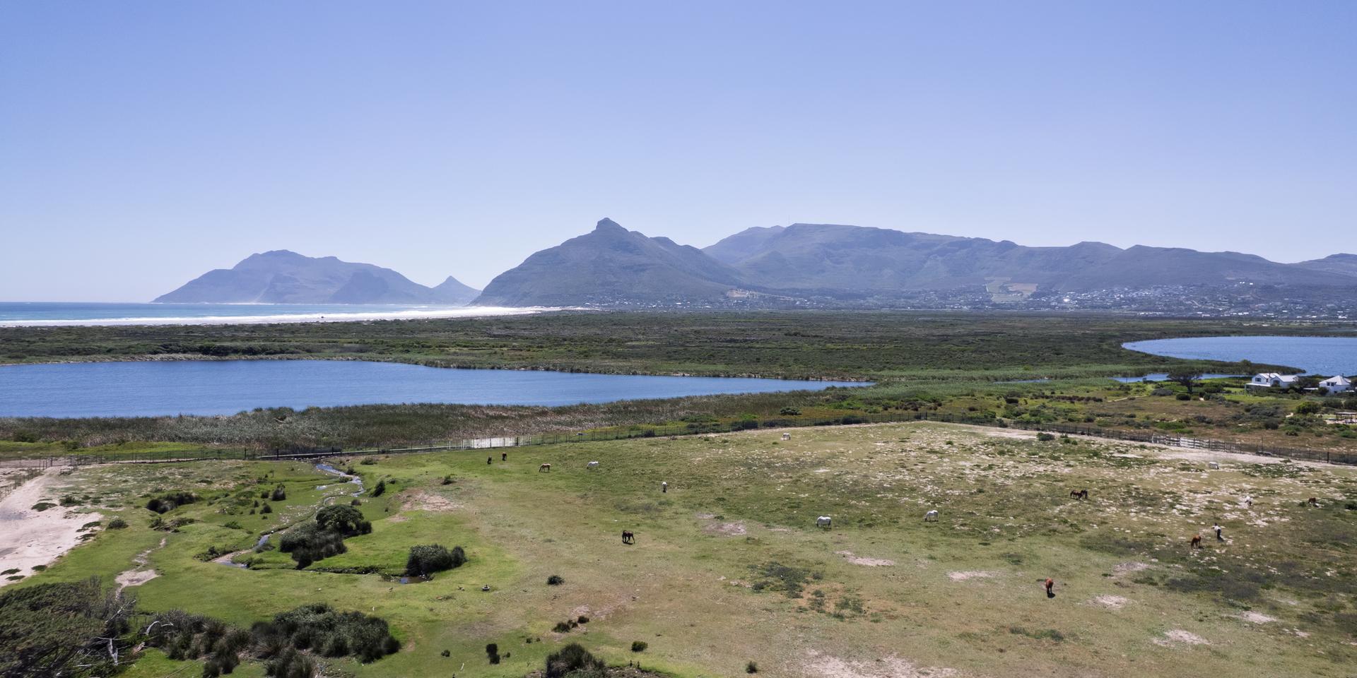 Image 4 of 6