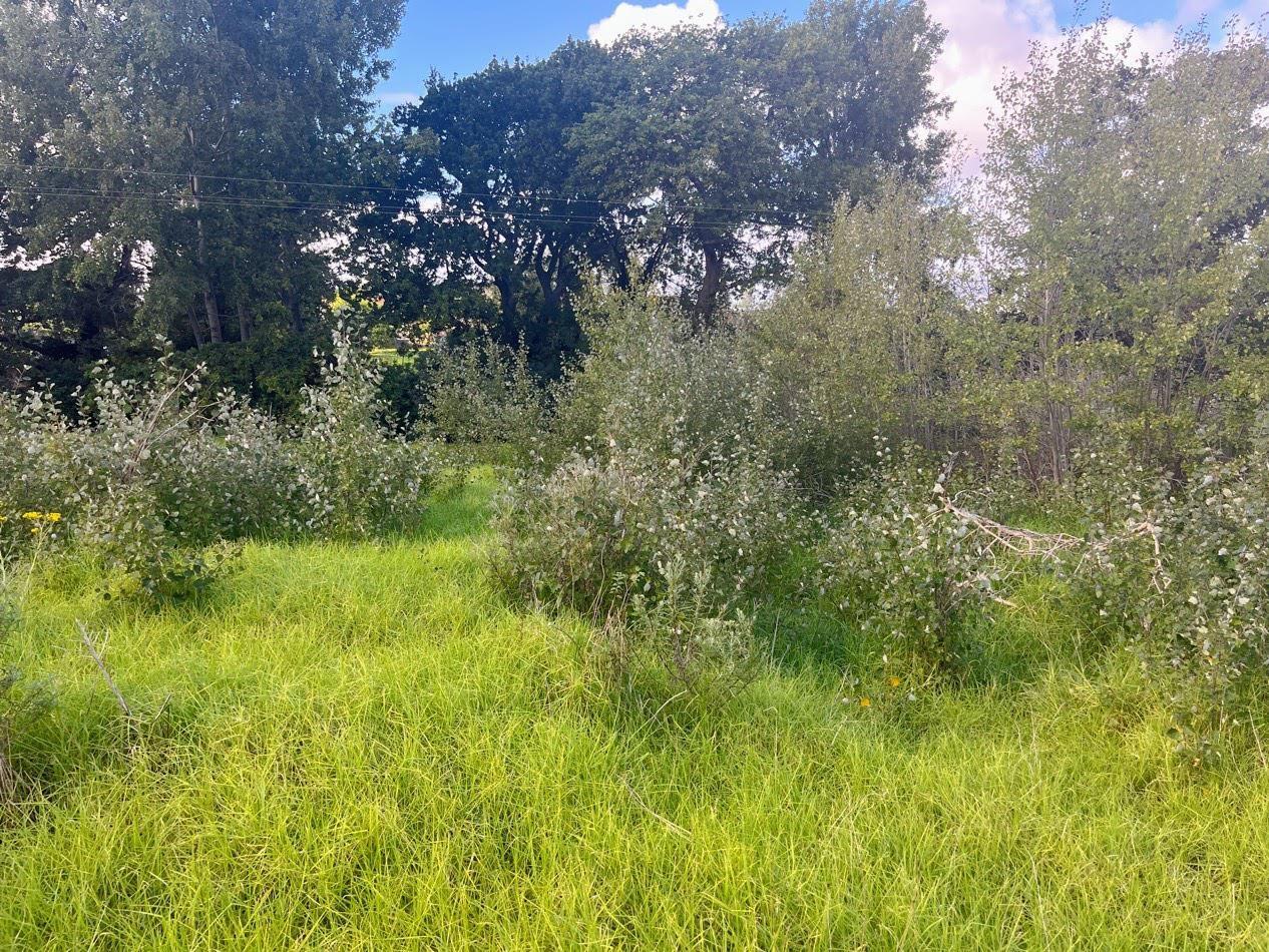 Image 4 of 6