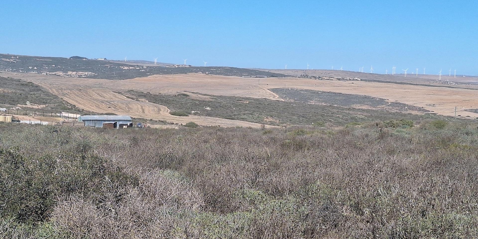 Image 4 of 6