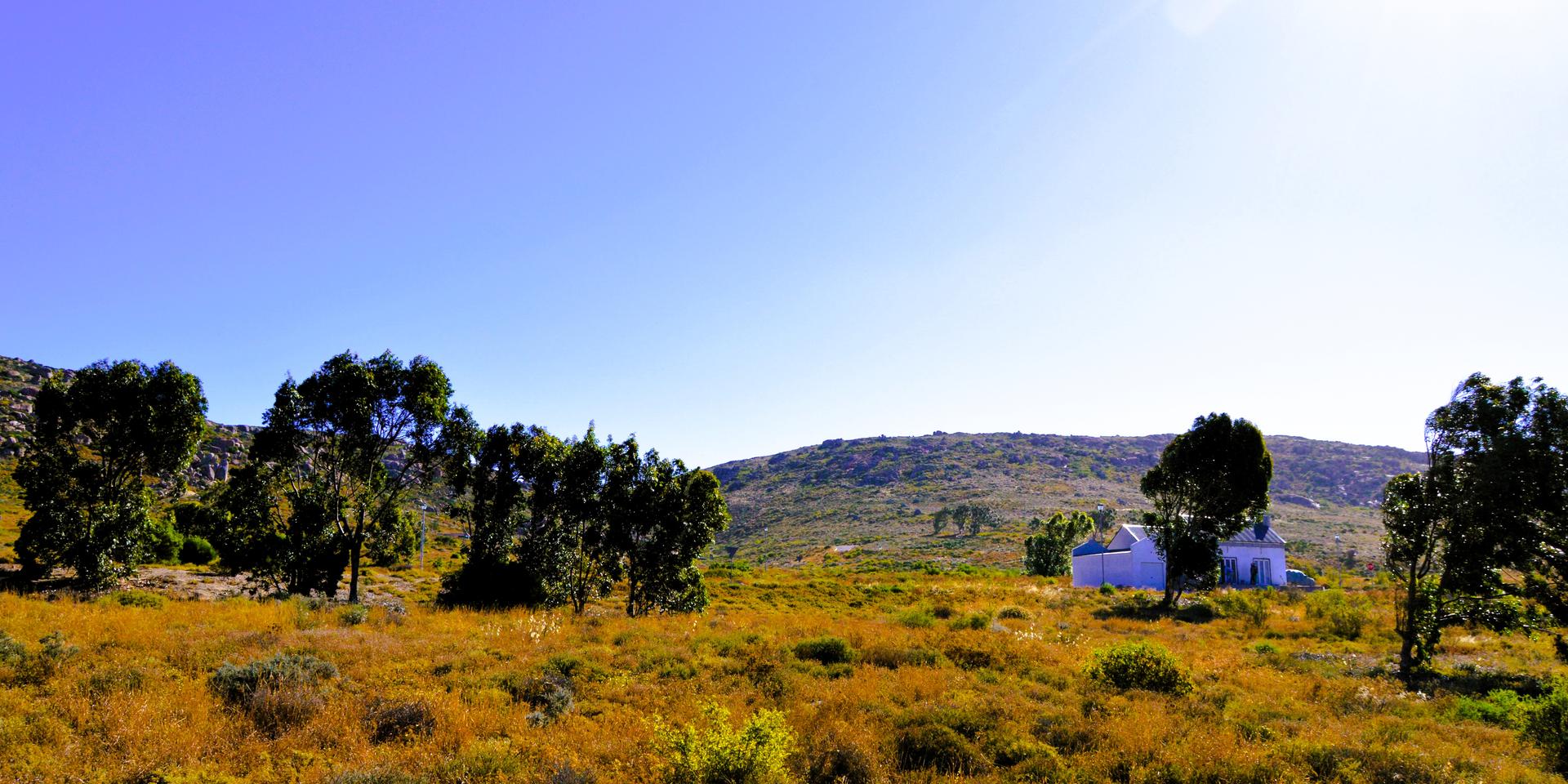Image 4 of 6