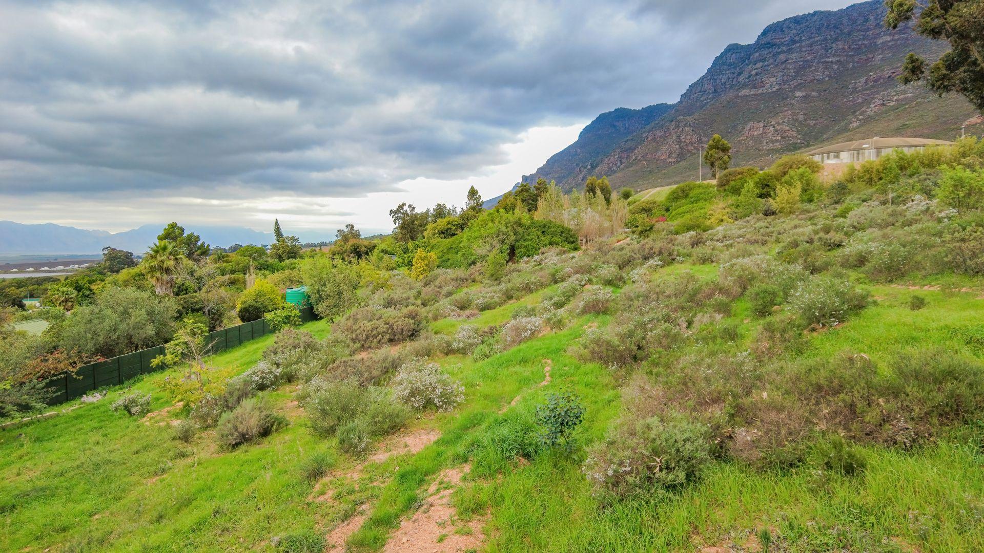 Image 5 of 6
