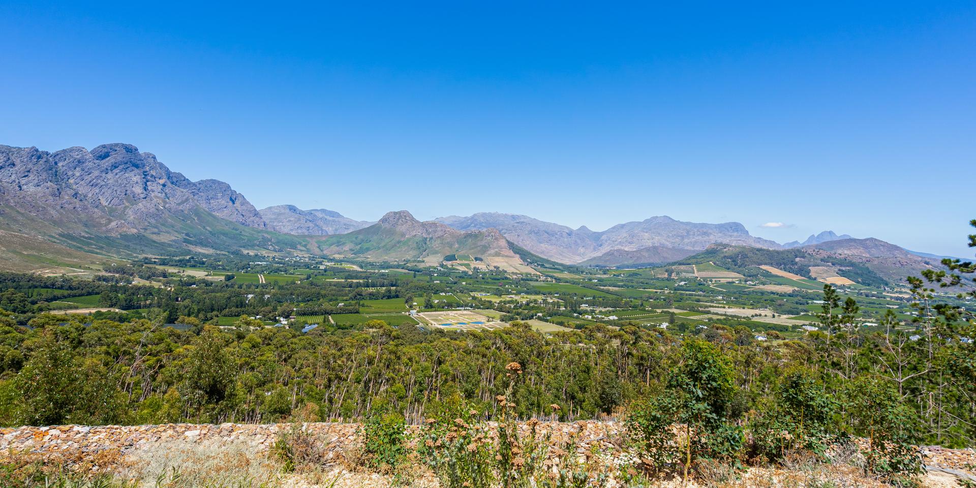 Image 2 of 6