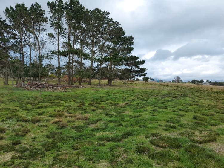 Main property image