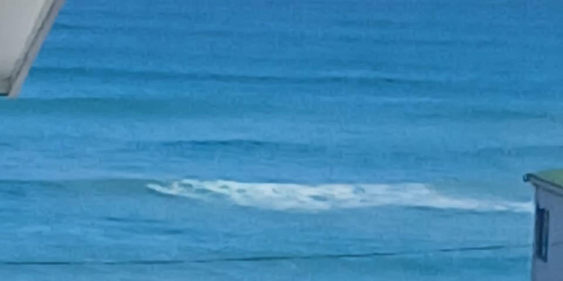 Image 3 of 6