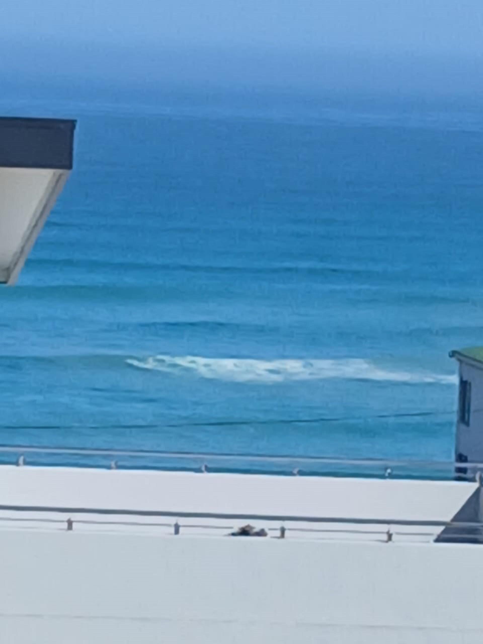 Image 3 of 6