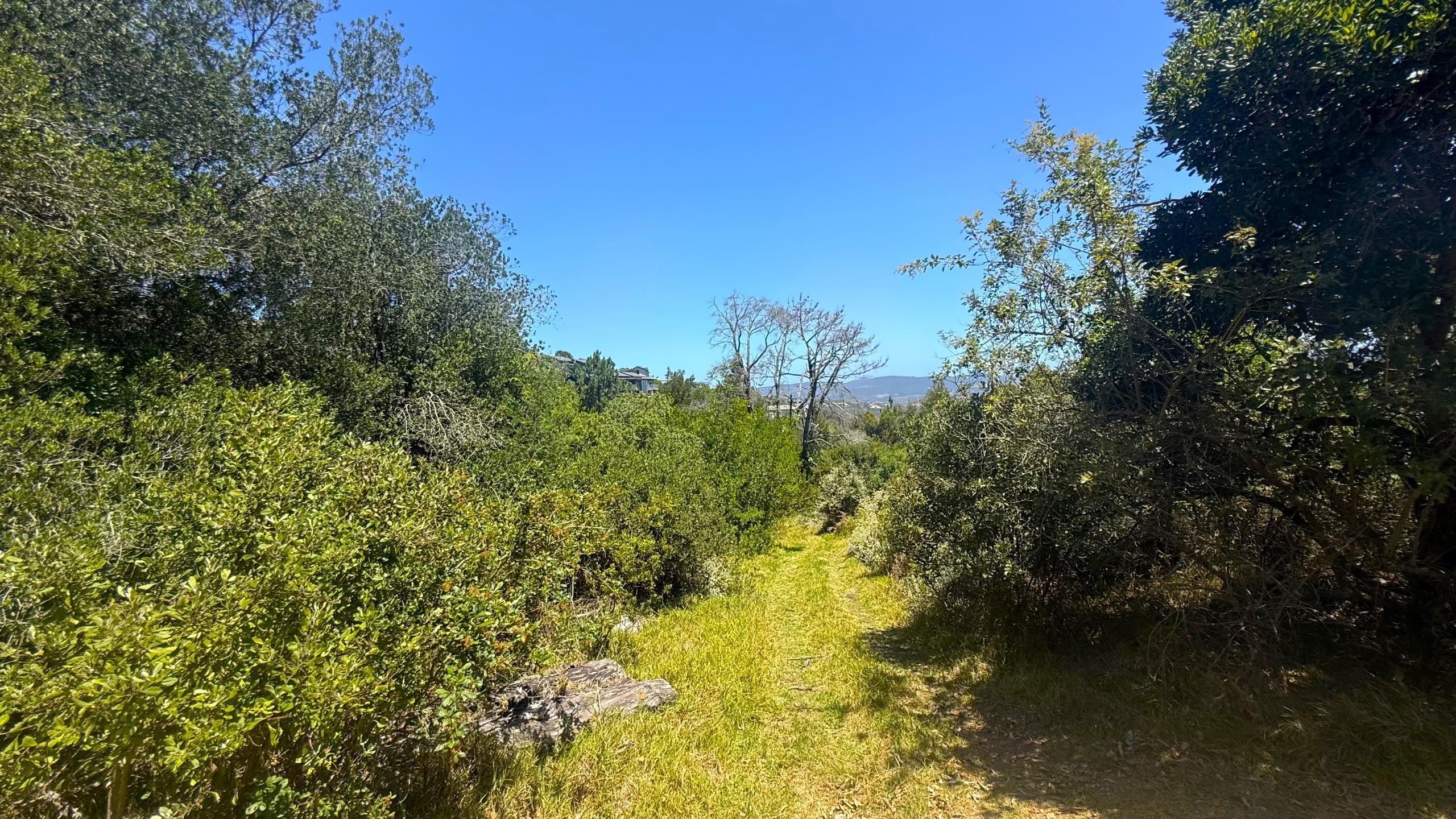 Image 5 of 6