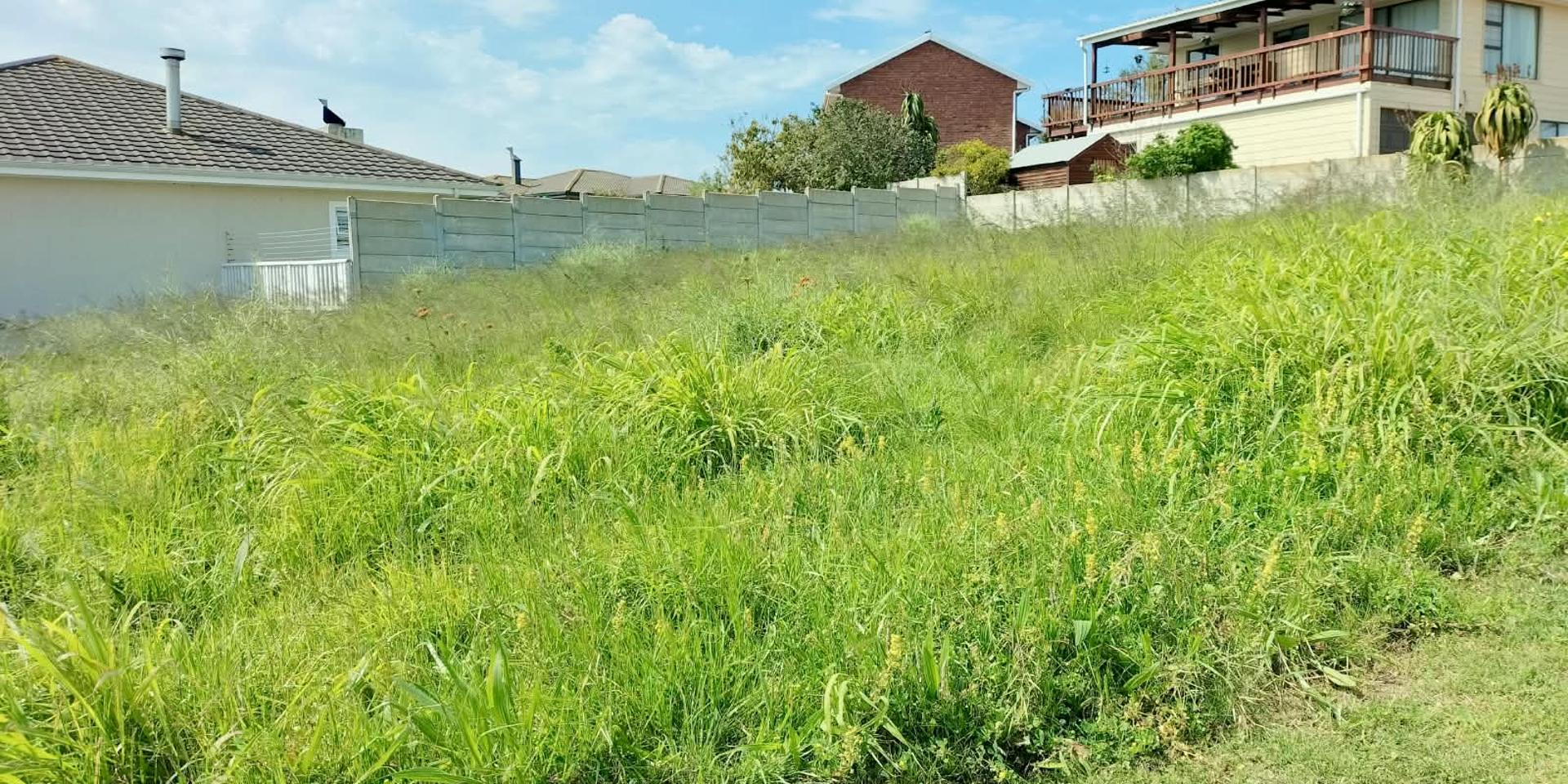 Image 3 of 6