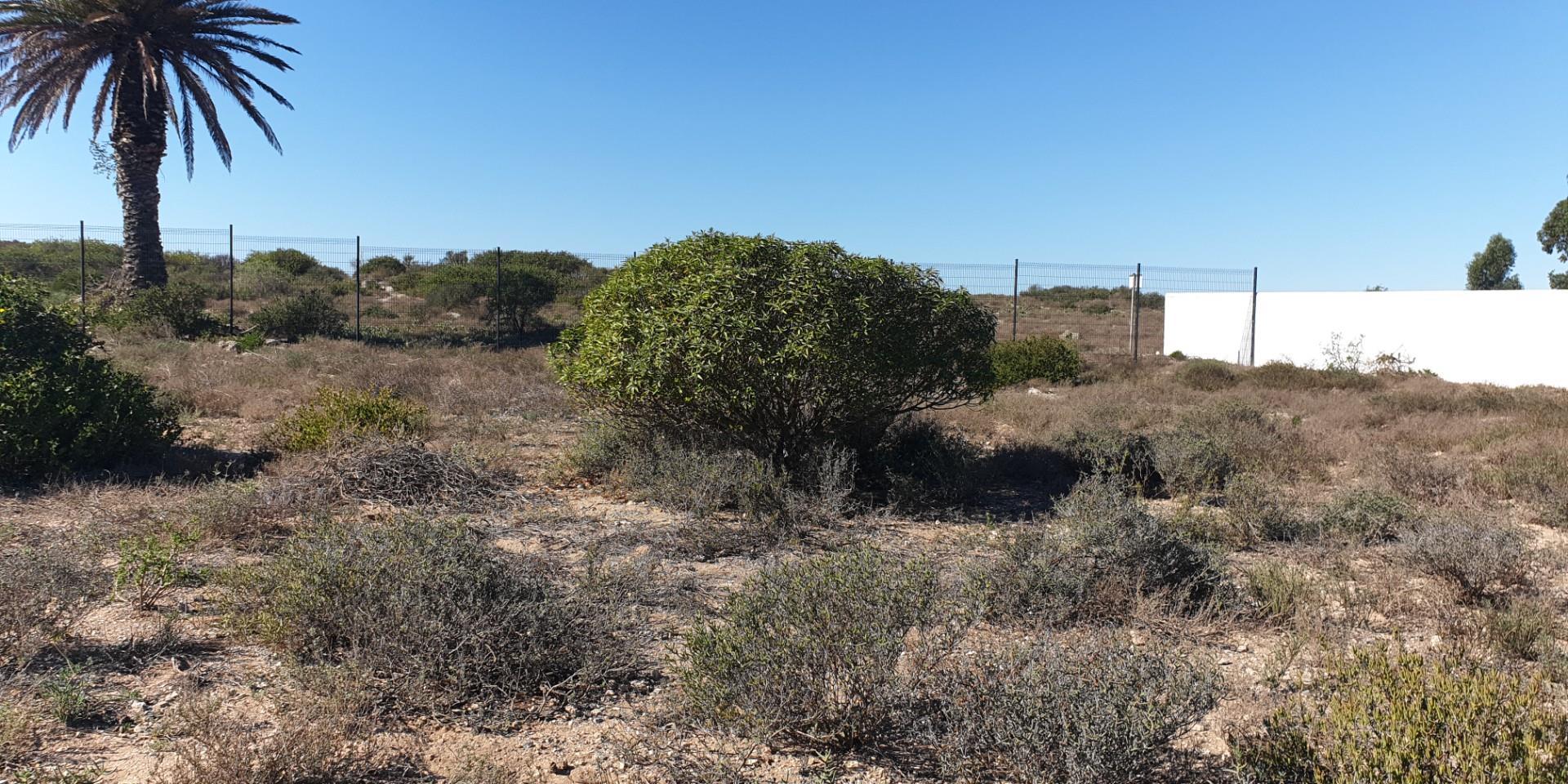 Image 4 of 6