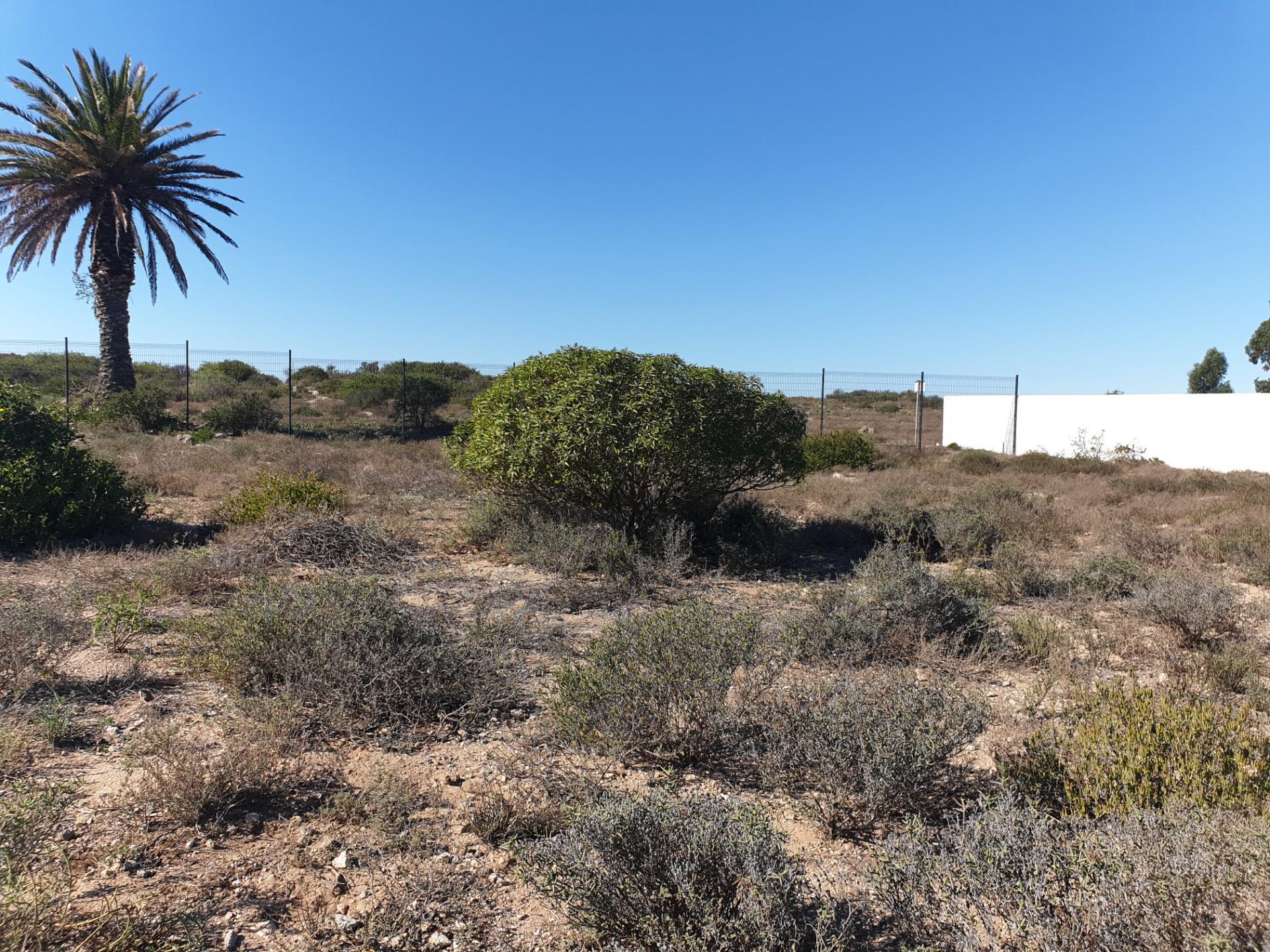 Image 4 of 6