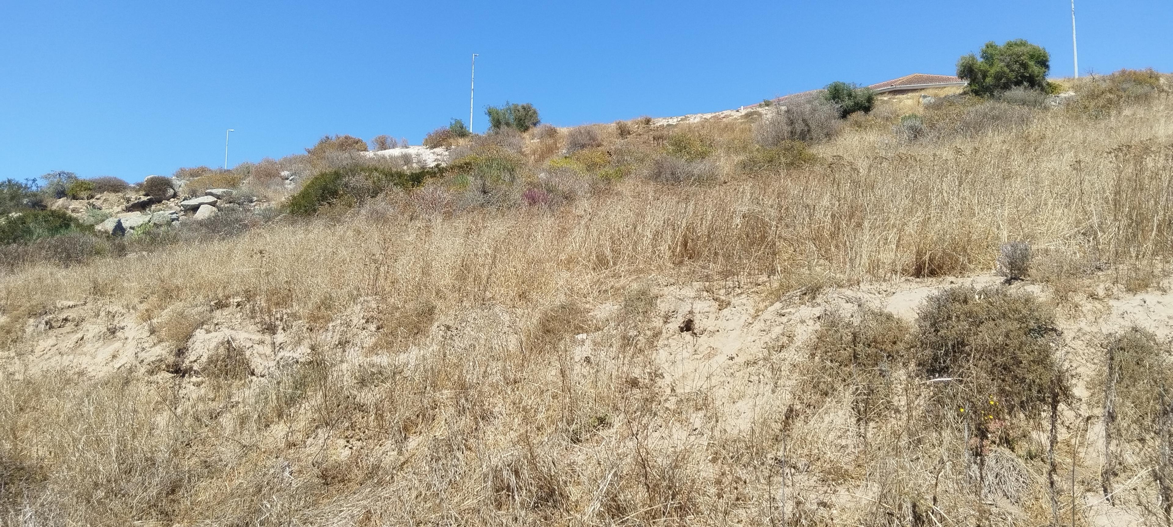 Image 3 of 6