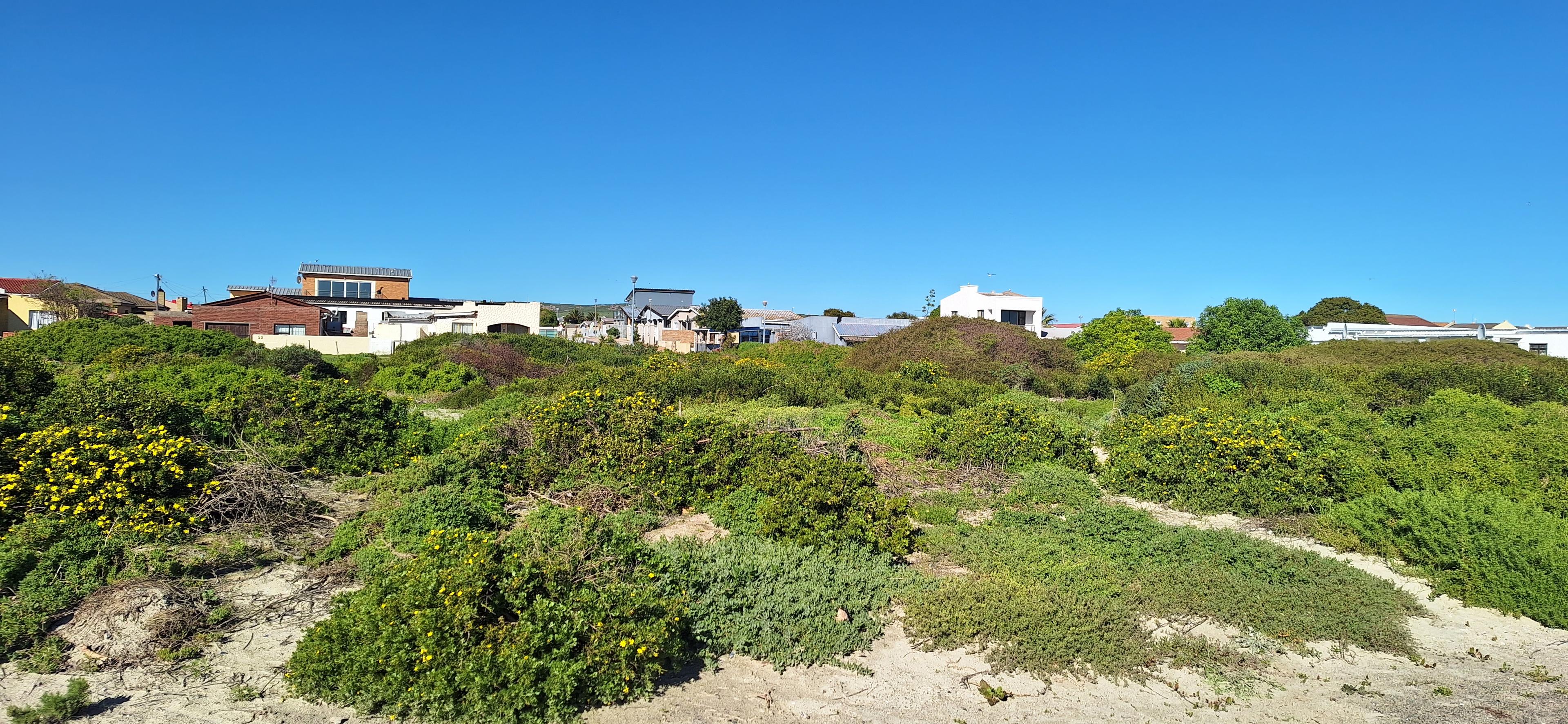 Image 4 of 6