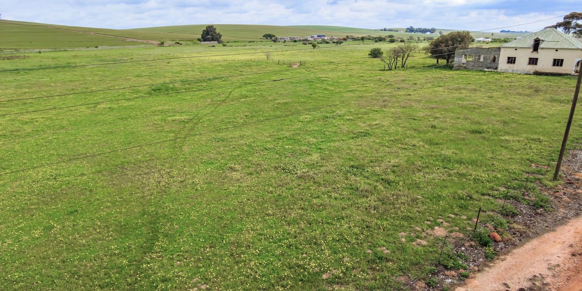 Image 5 of 6