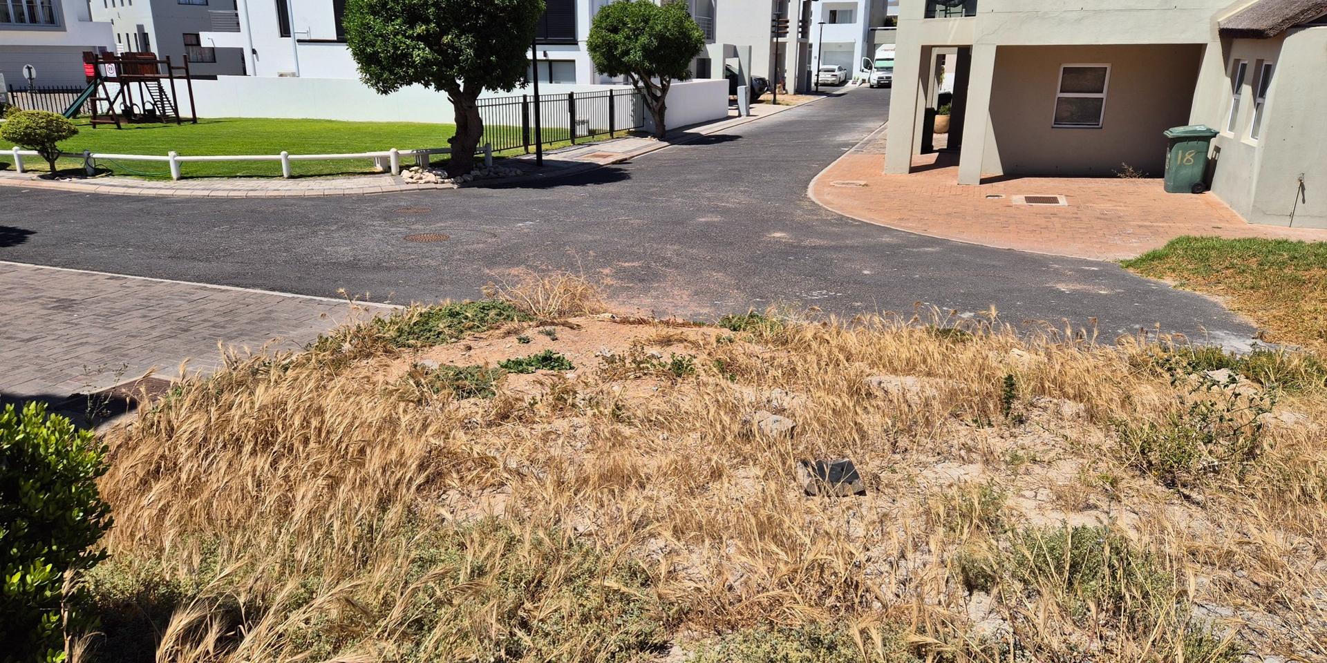 Image 2 of 6