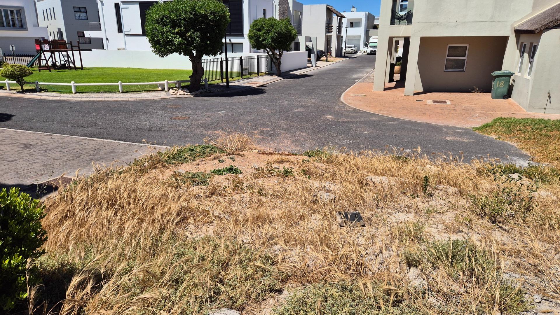 Image 2 of 6