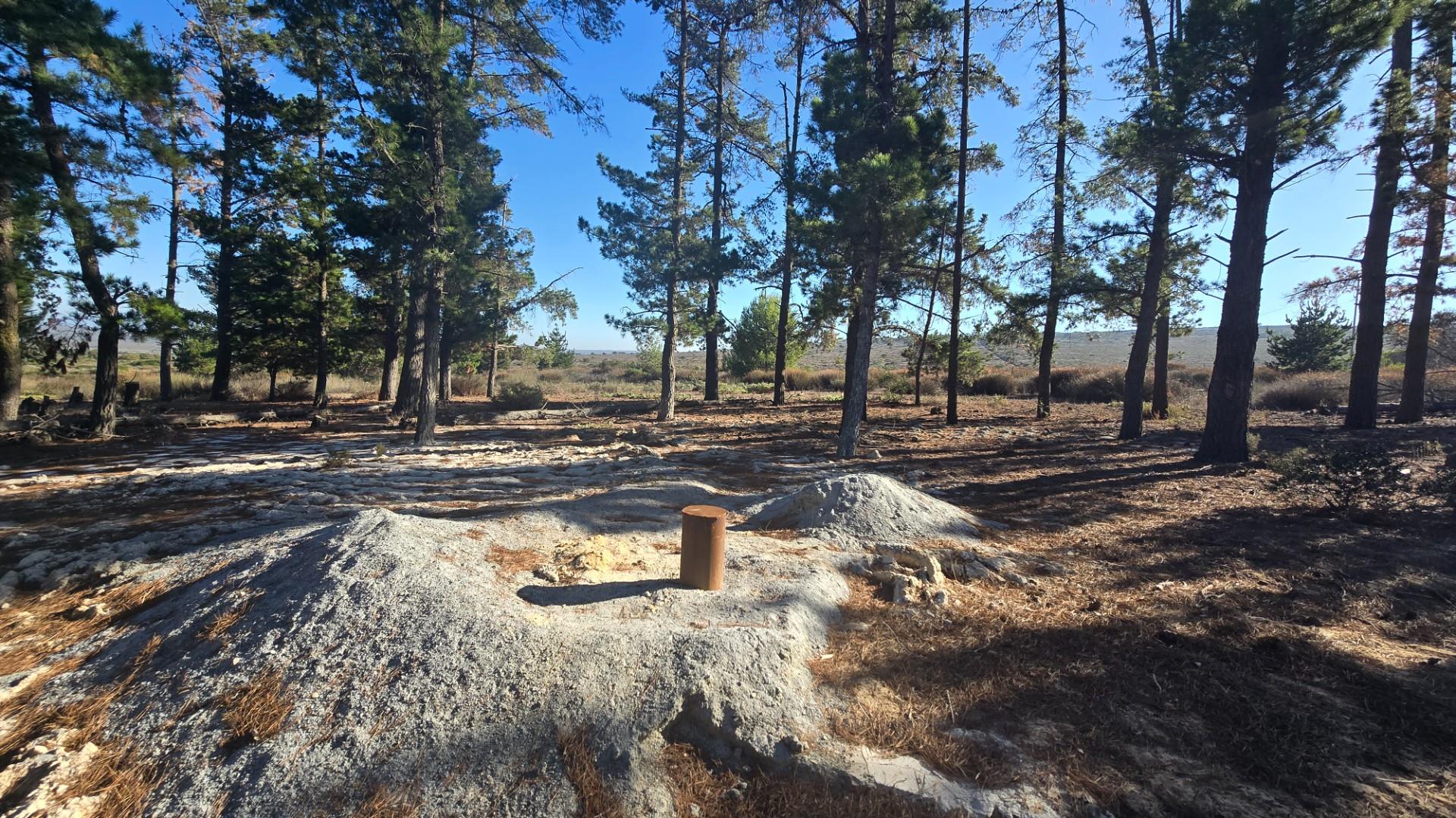 Image 1 of 6