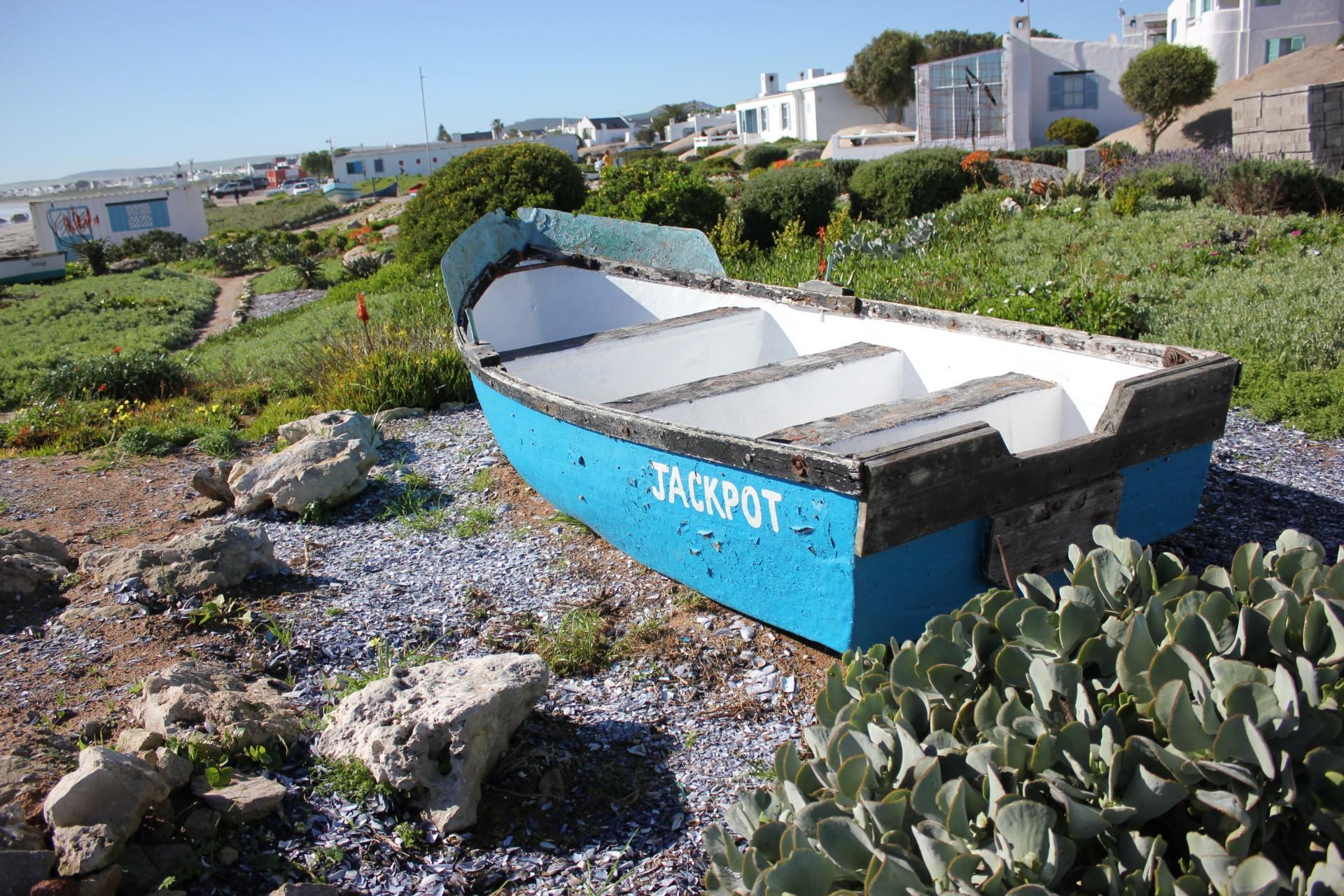Image 13
