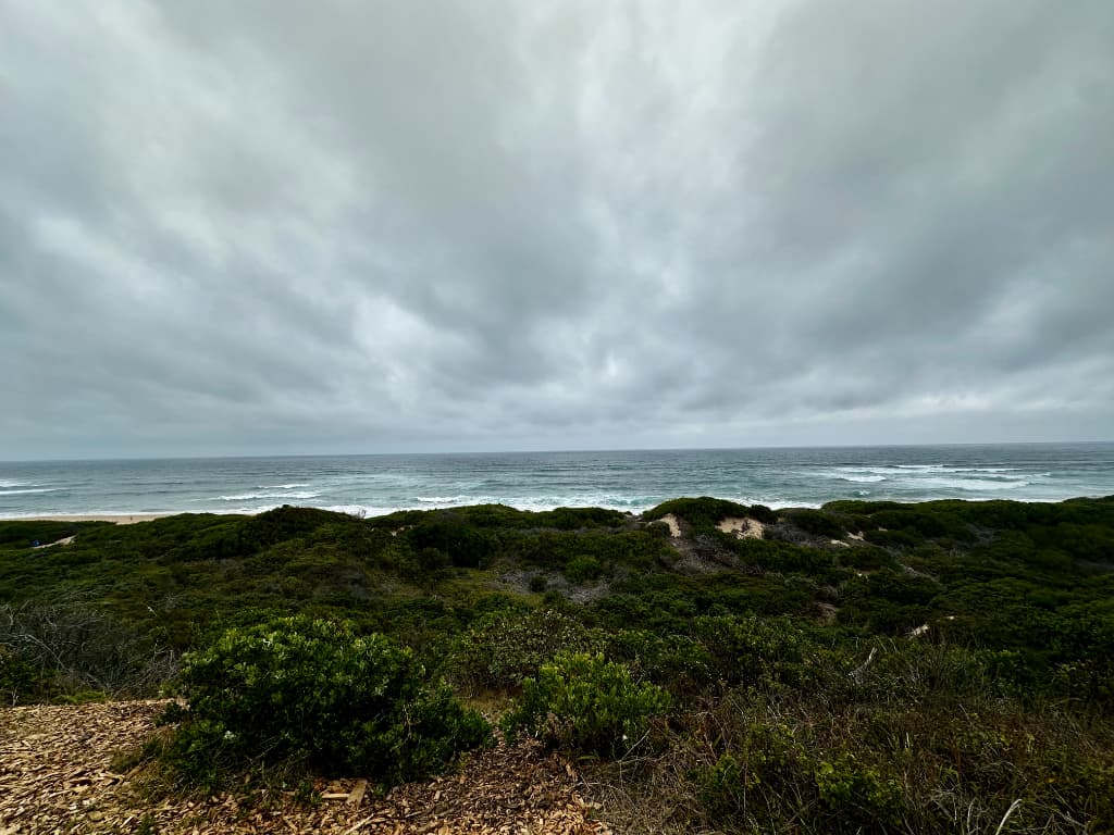 Image 2 of 6