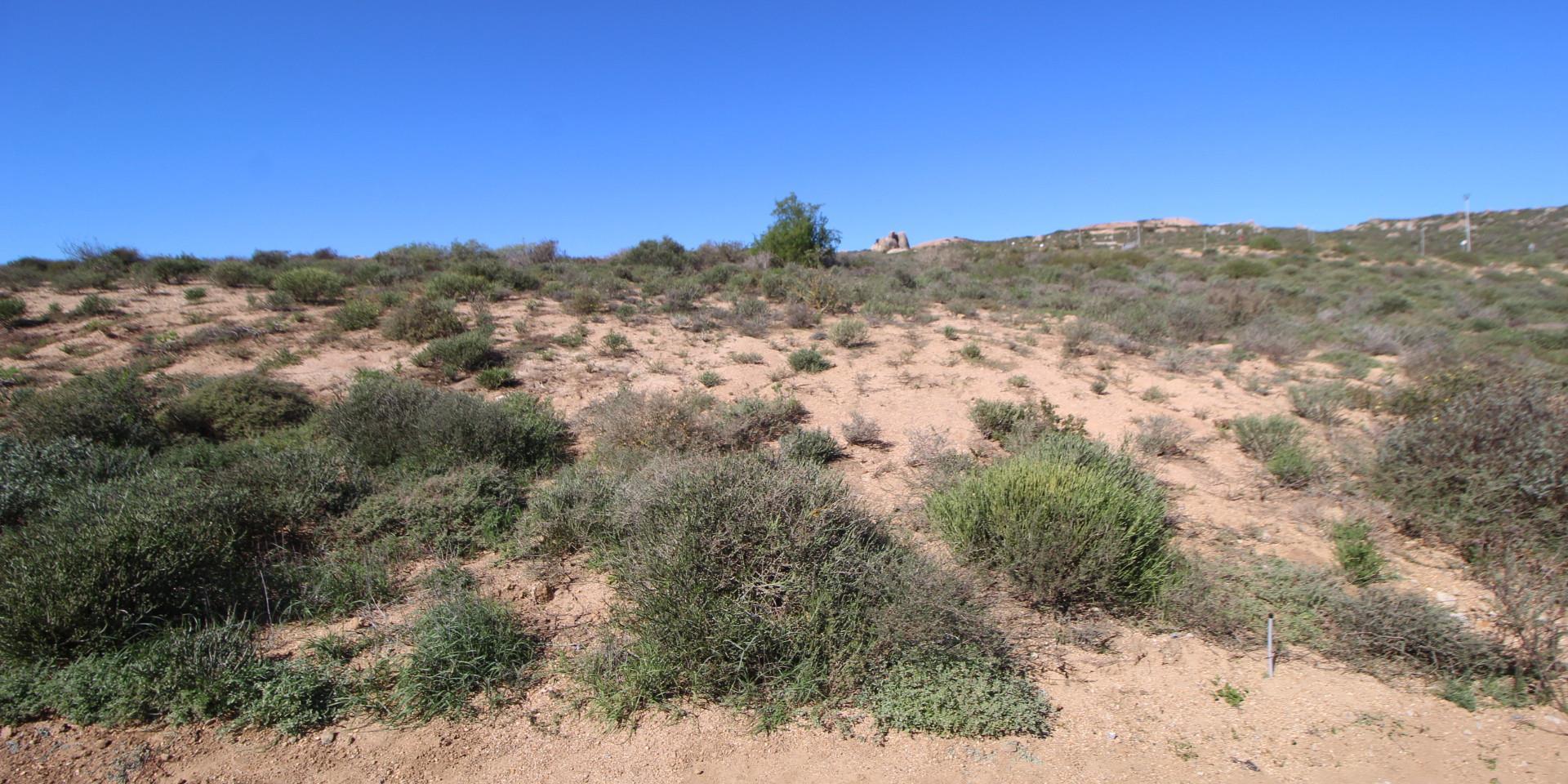 Image 3 of 6