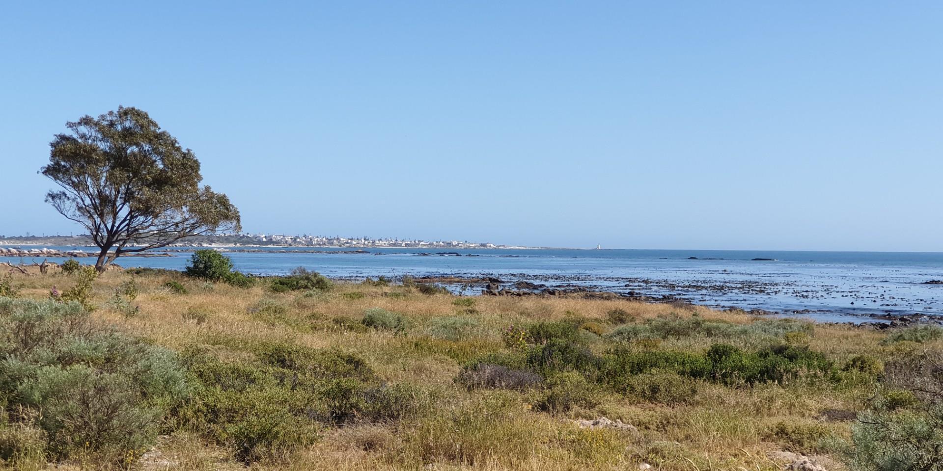 Image 4 of 6