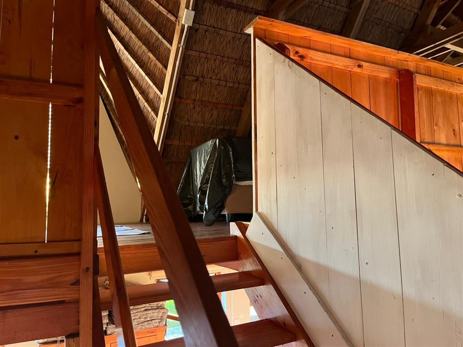 Image 37