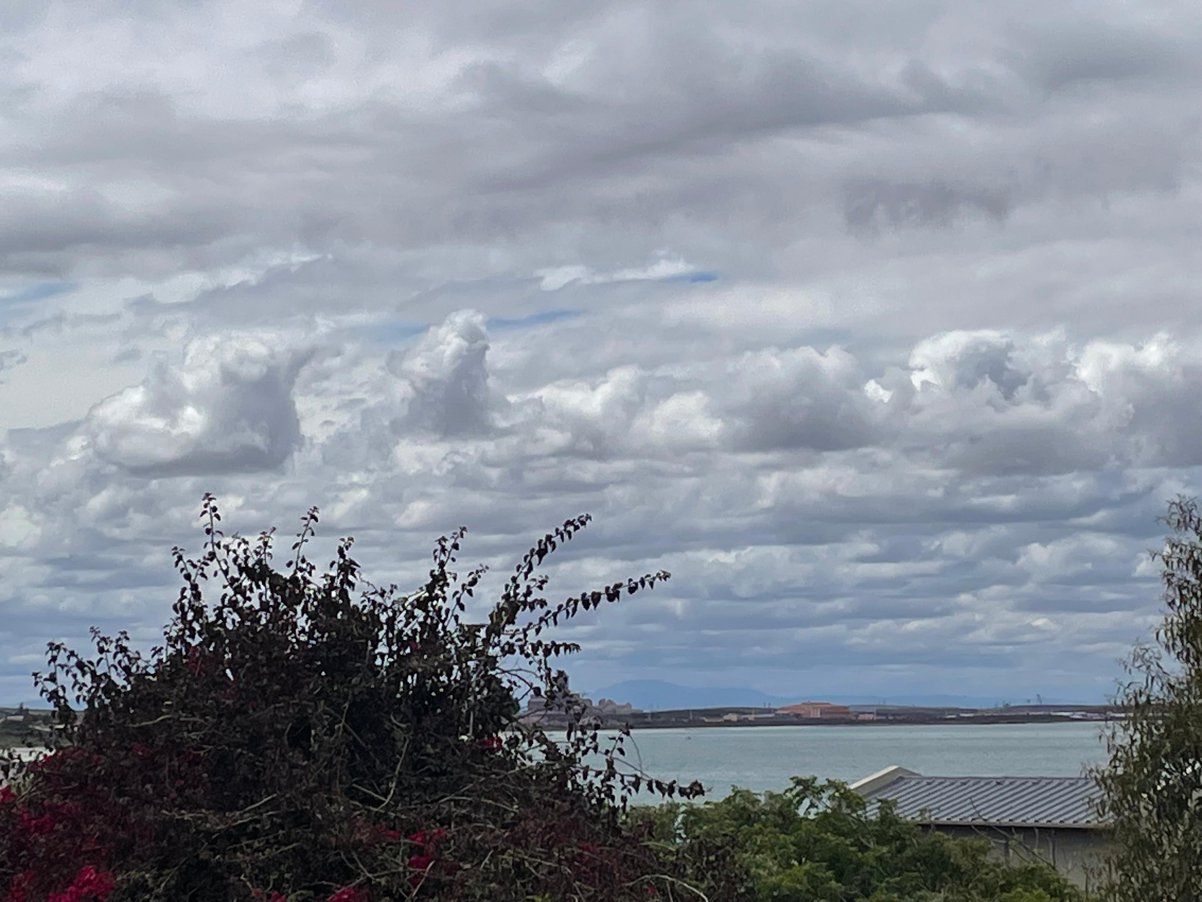 Image 15