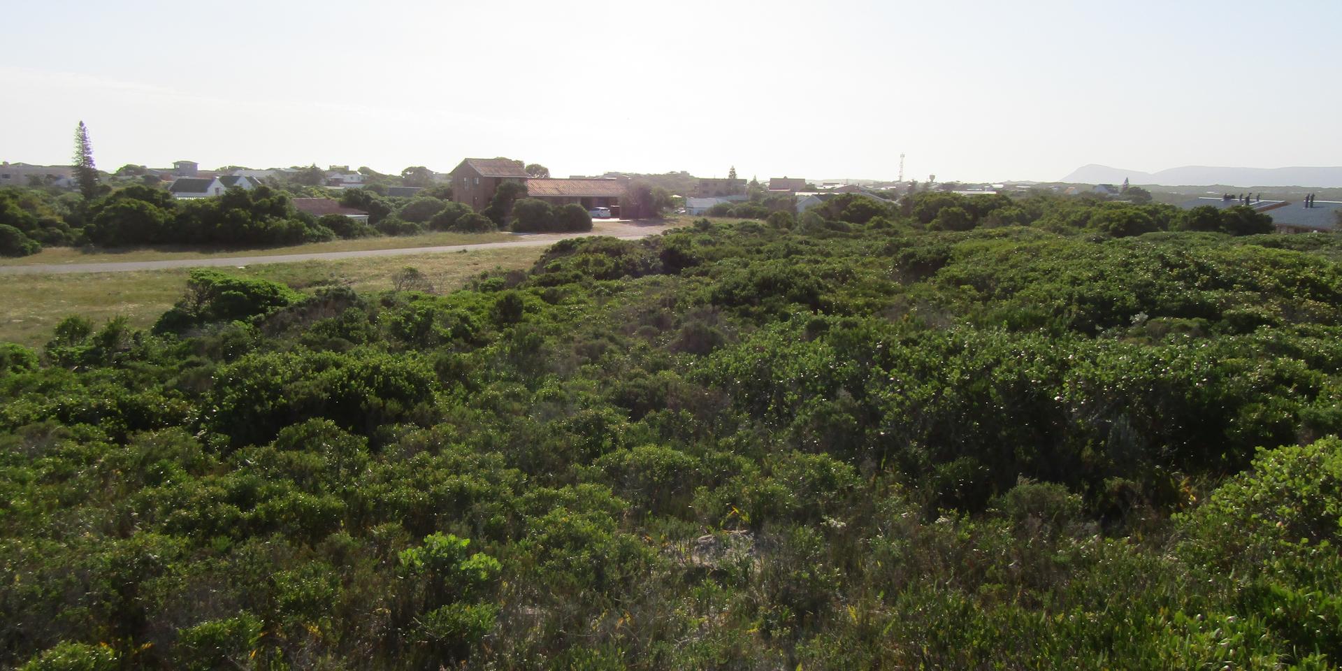 Image 5 of 6