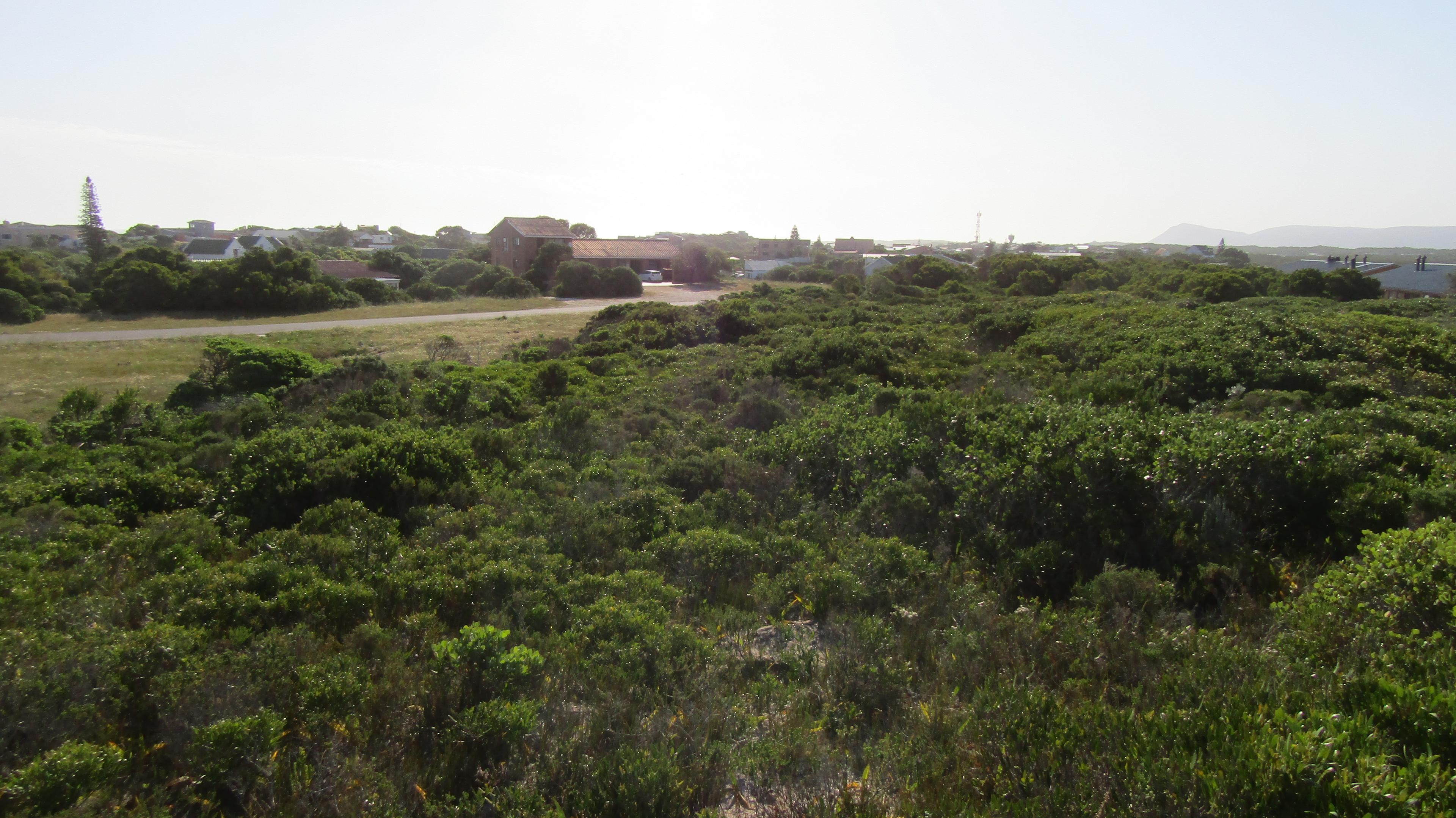 Image 5 of 6