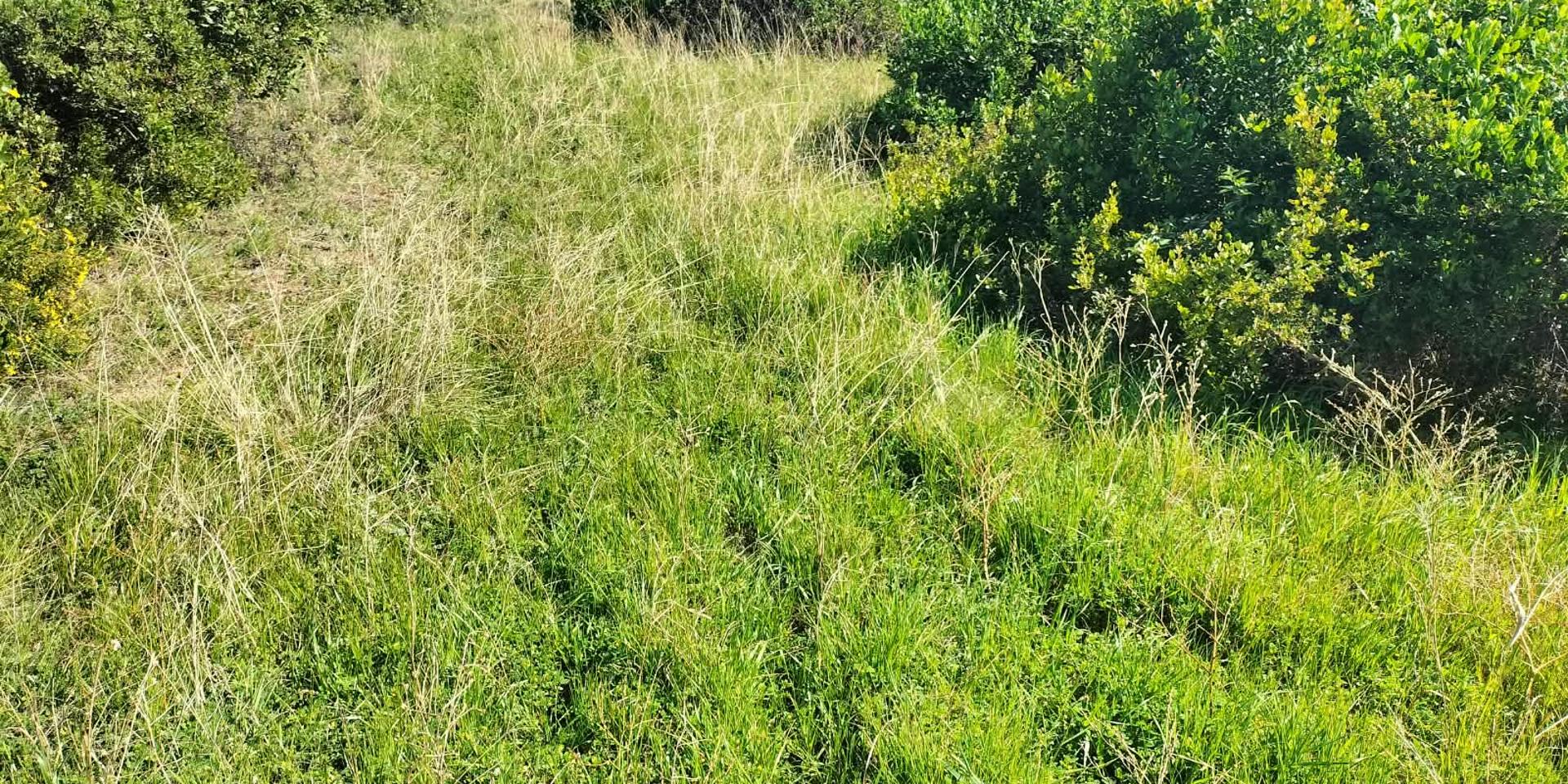 Image 5 of 6