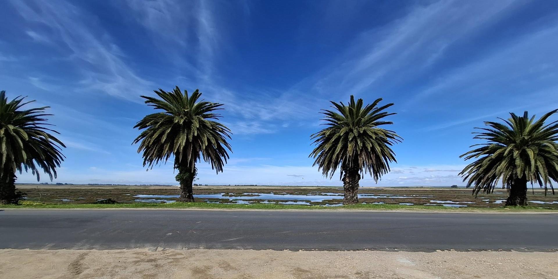 Image 4 of 6