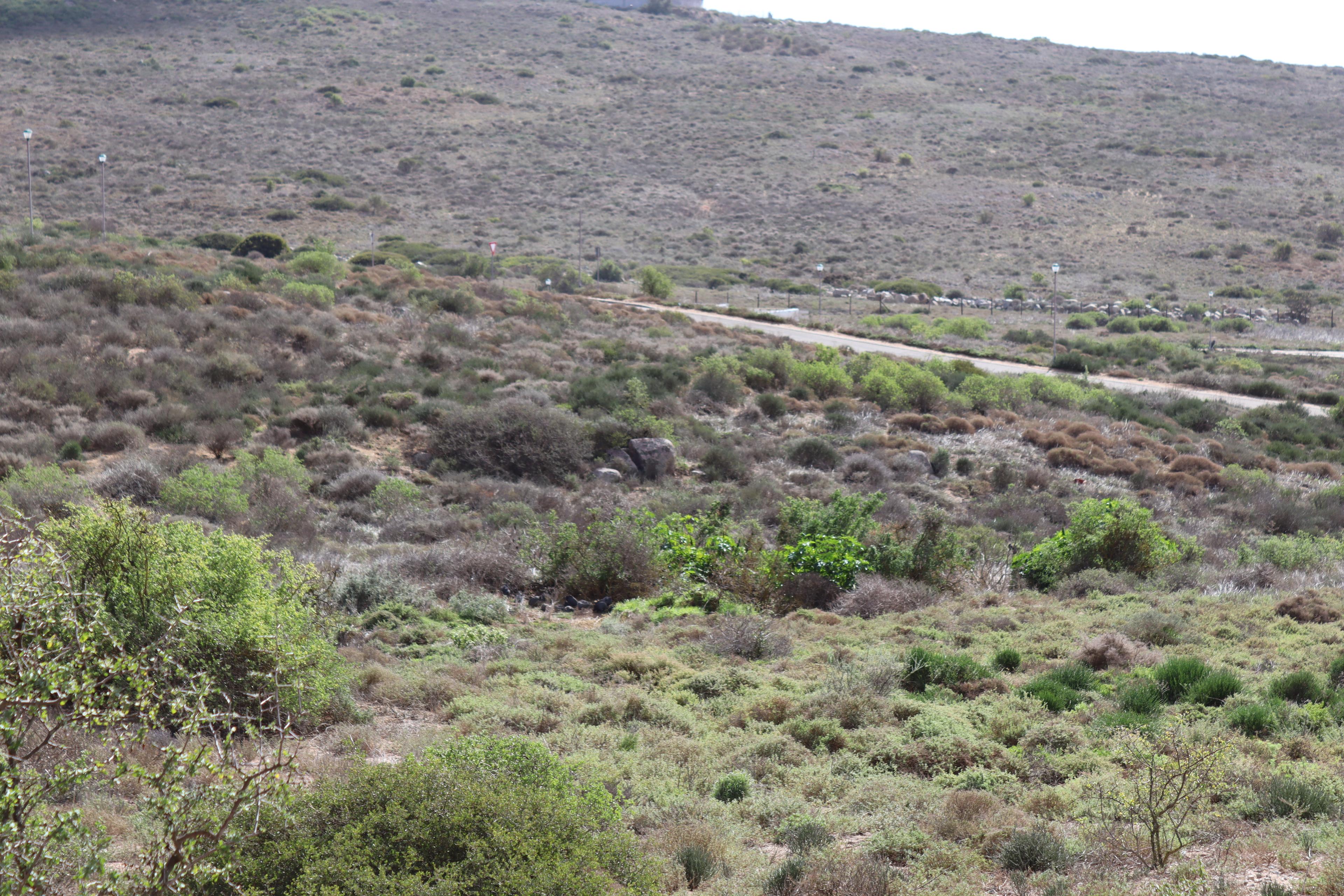 Image 12