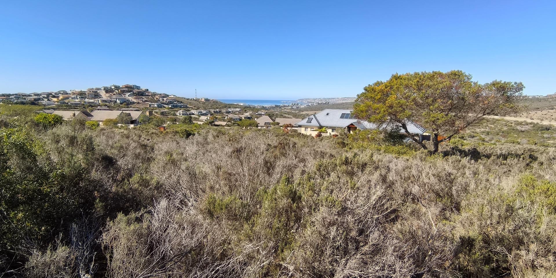 Image 4 of 6
