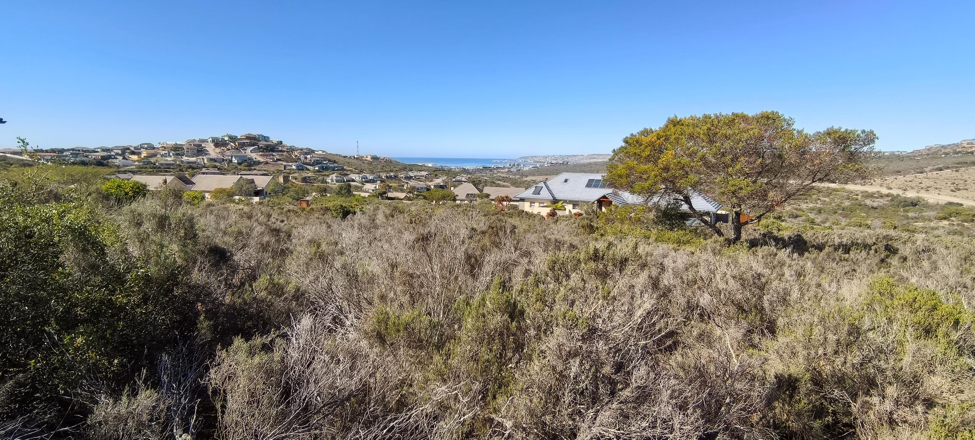 Image 4 of 6