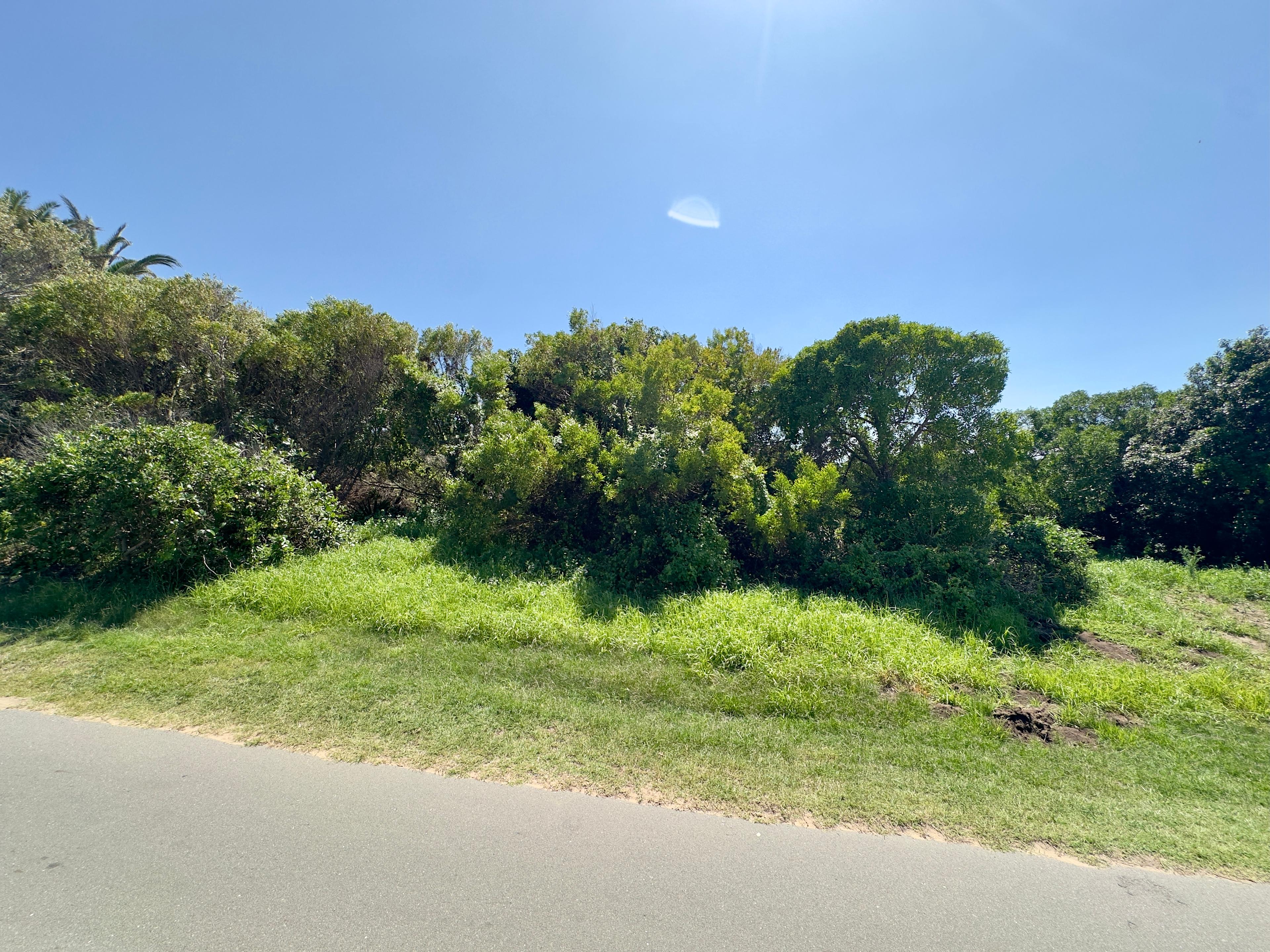 Image 10