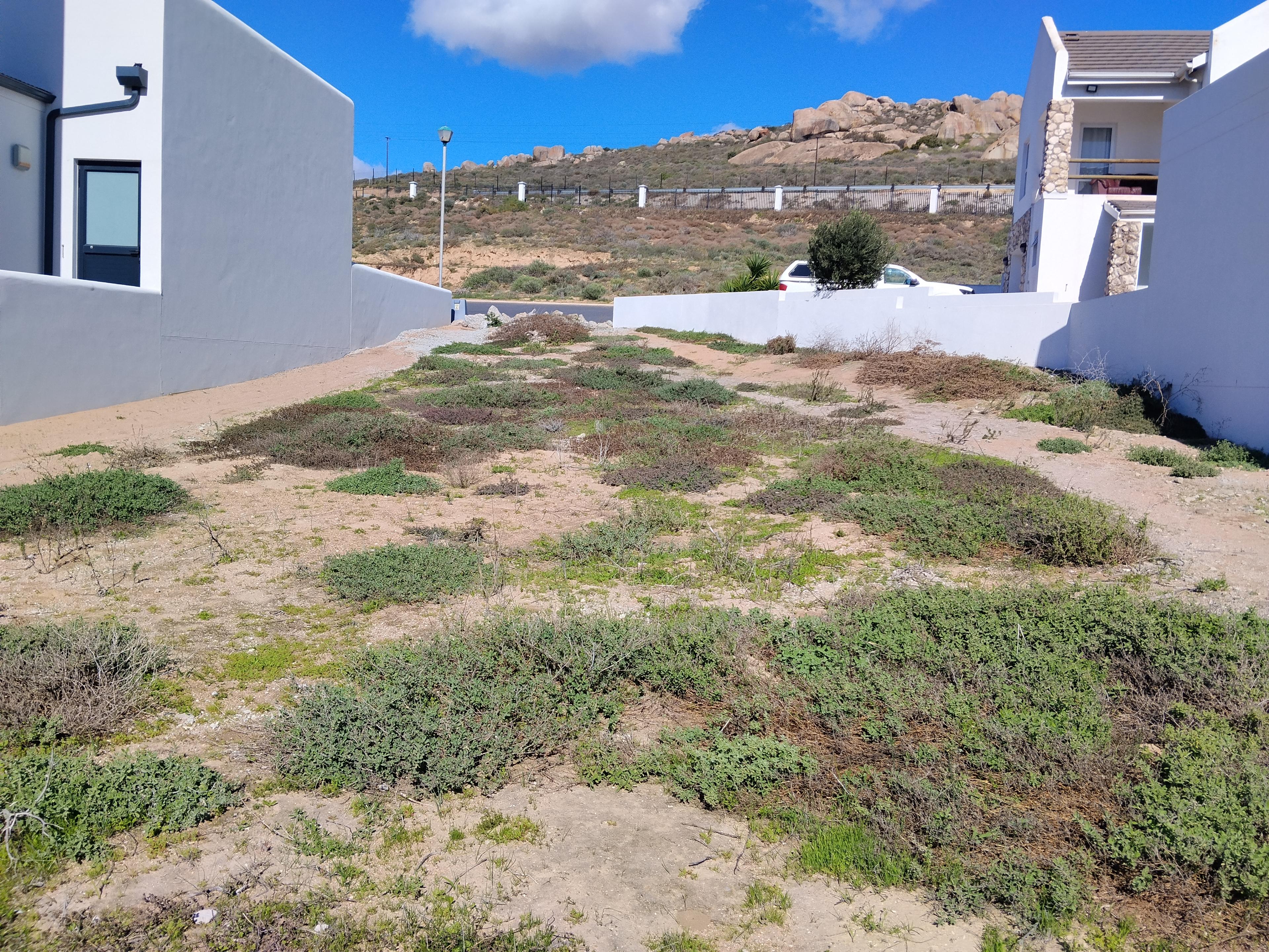 Image 4 of 6