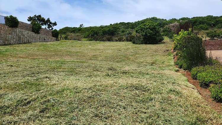 Main property image